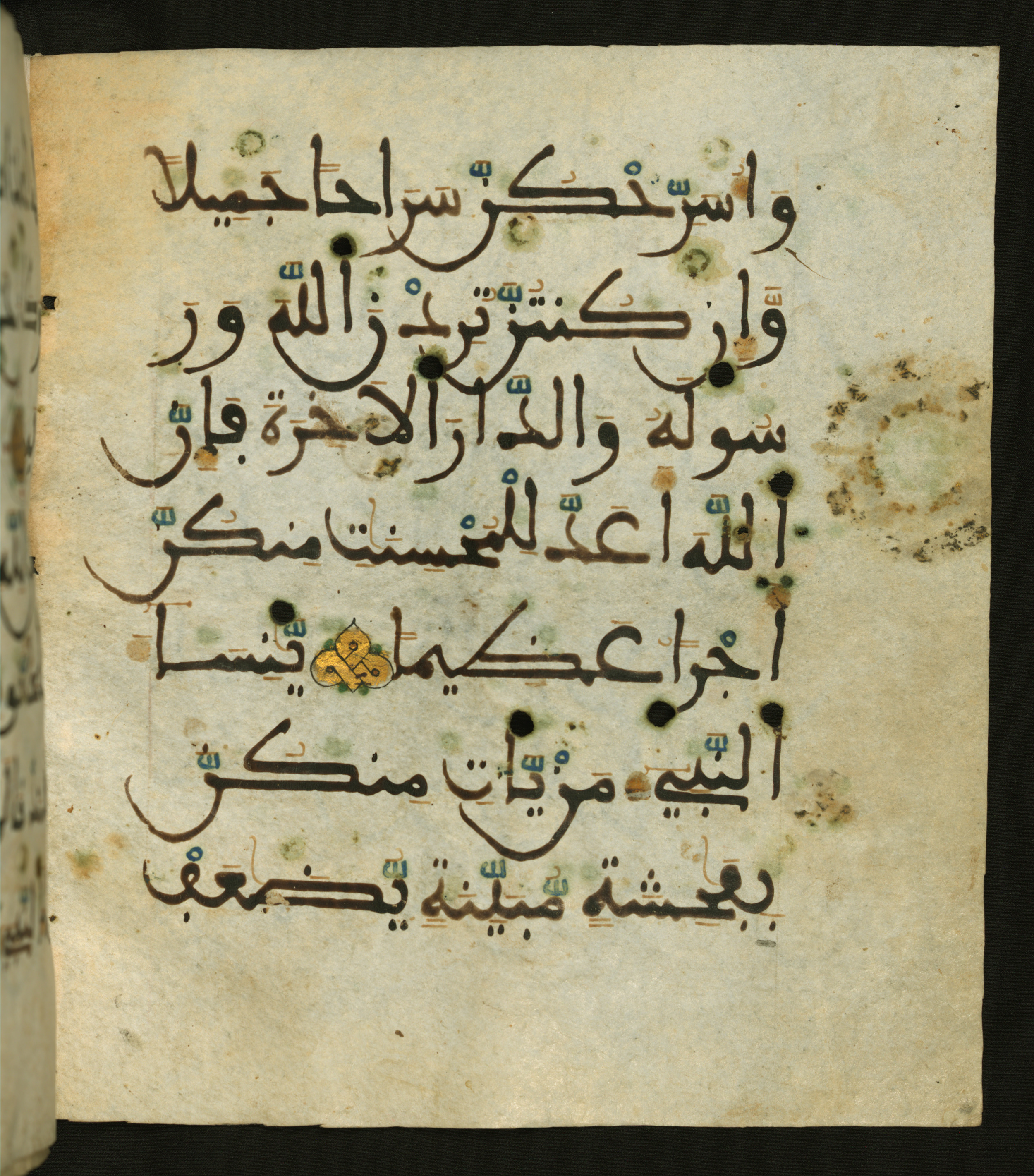 Baltimore, Maryland, The Walters Art Museum, W.556 (Scan 1), in maġribī script, showing Surah 33:29 from 13th to 15th Century AD found in Unknown, currently housed at The Walters Art Museum, Baltimore, Maryland