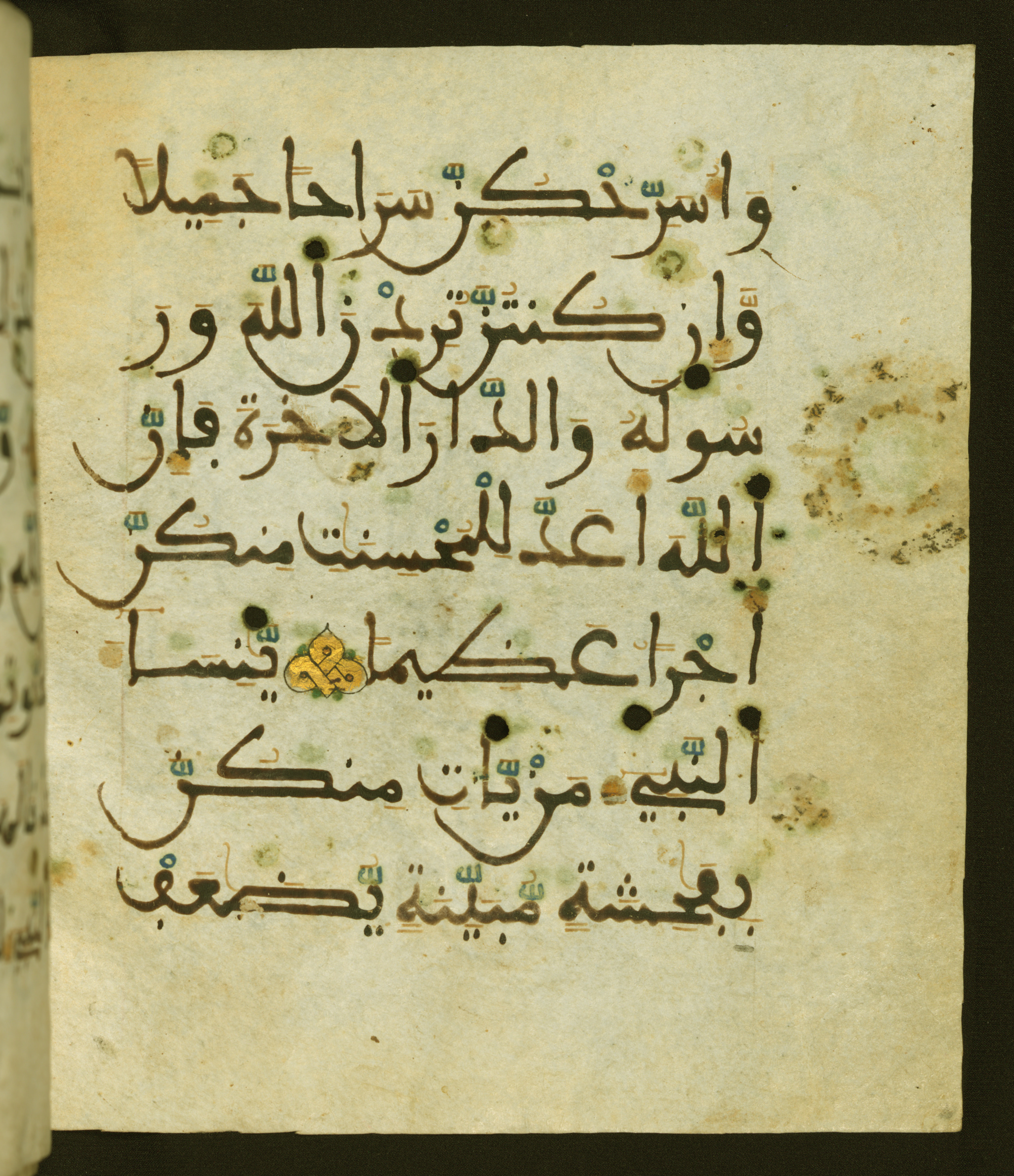 Baltimore, Maryland, The Walters Art Museum, W.556 (Scan 2), in maġribī script, showing Surah 33:29 from 13th to 15th Century AD found in Unknown, currently housed at The Walters Art Museum, Baltimore, Maryland