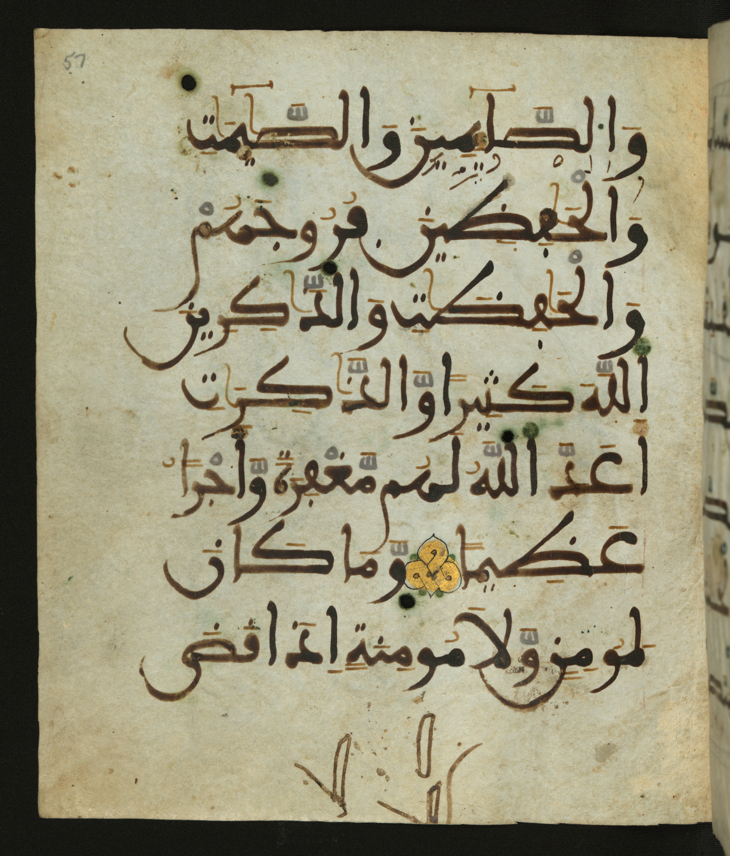 Baltimore, Maryland, The Walters Art Museum, W.556 (Scan 1), in maġribī script, showing Surah 33:36 from 13th to 15th Century AD found in Unknown, currently housed at The Walters Art Museum, Baltimore, Maryland