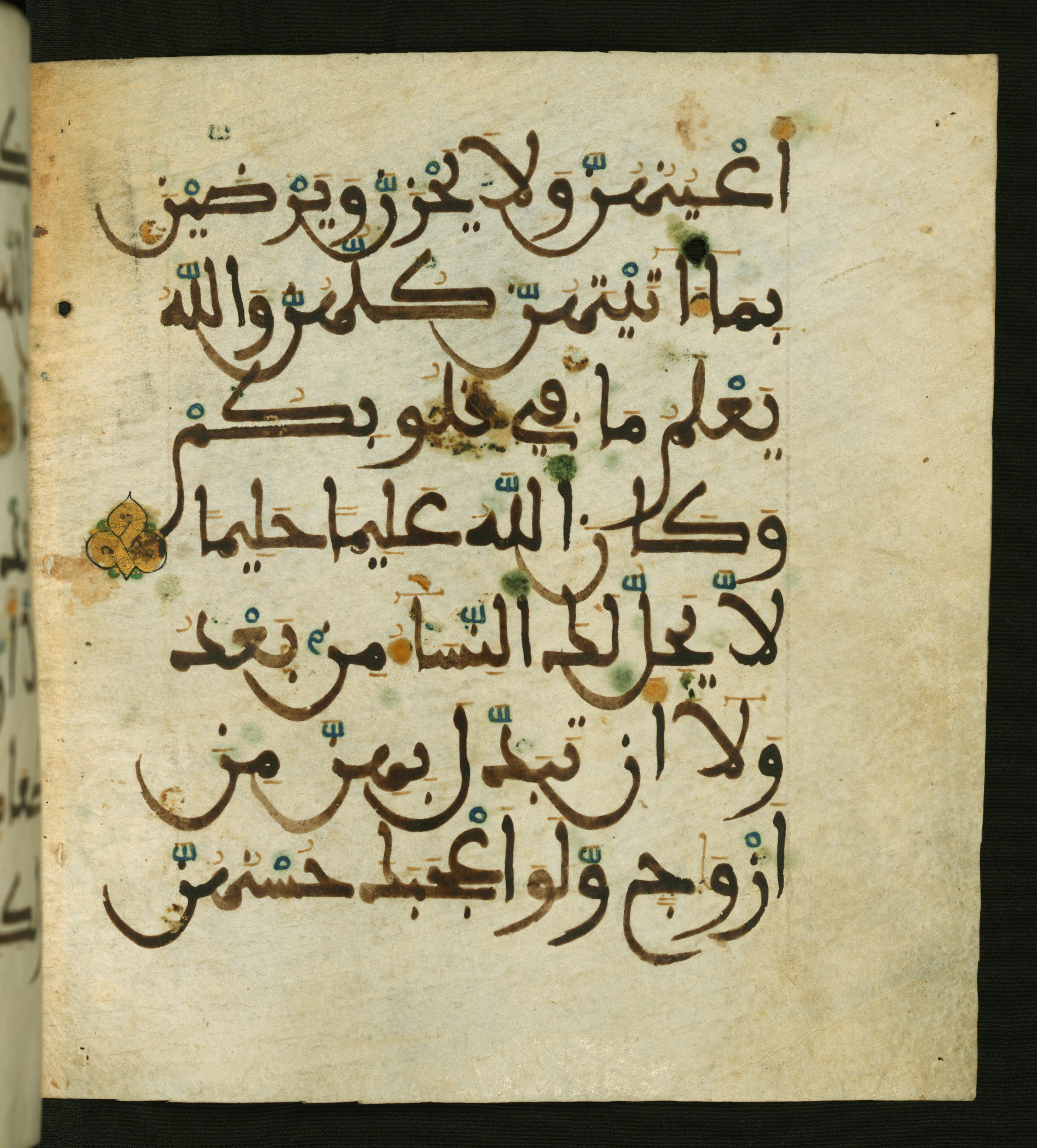 Baltimore, Maryland, The Walters Art Museum, W.556 (Scan 1), in maġribī script, showing Surah 33:52 from 13th to 15th Century AD found in Unknown, currently housed at The Walters Art Museum, Baltimore, Maryland