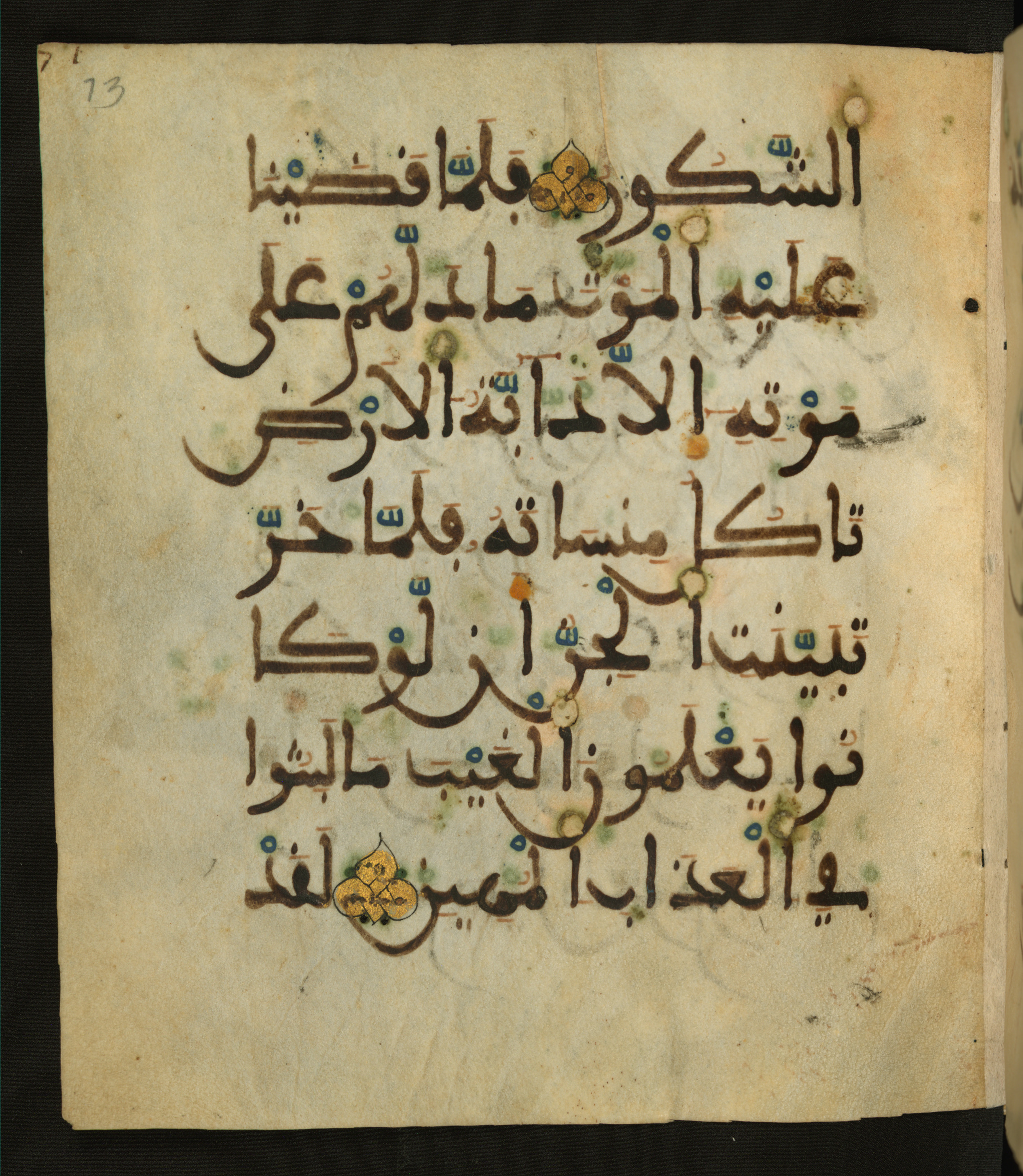 Baltimore, Maryland, The Walters Art Museum, W.556, in maġribī script, showing Surah 34:14 from 13th to 15th Century AD found in Unknown, currently housed at The Walters Art Museum, Baltimore, Maryland