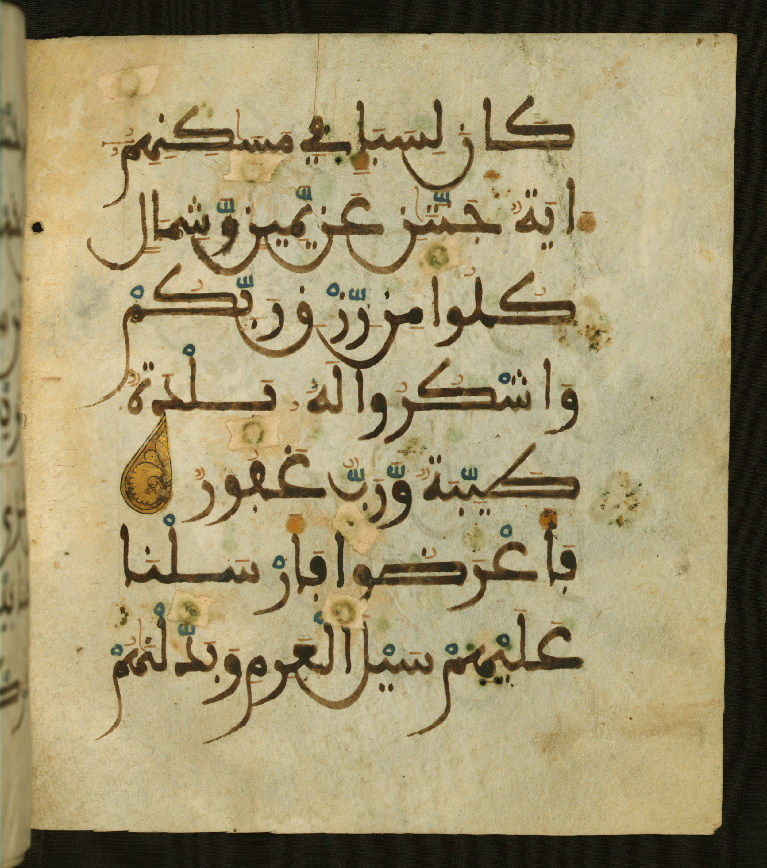 Baltimore, Maryland, The Walters Art Museum, W.556 (Scan 1), in maġribī script, showing Surah 34:16 from 13th to 15th Century AD found in Unknown, currently housed at The Walters Art Museum, Baltimore, Maryland