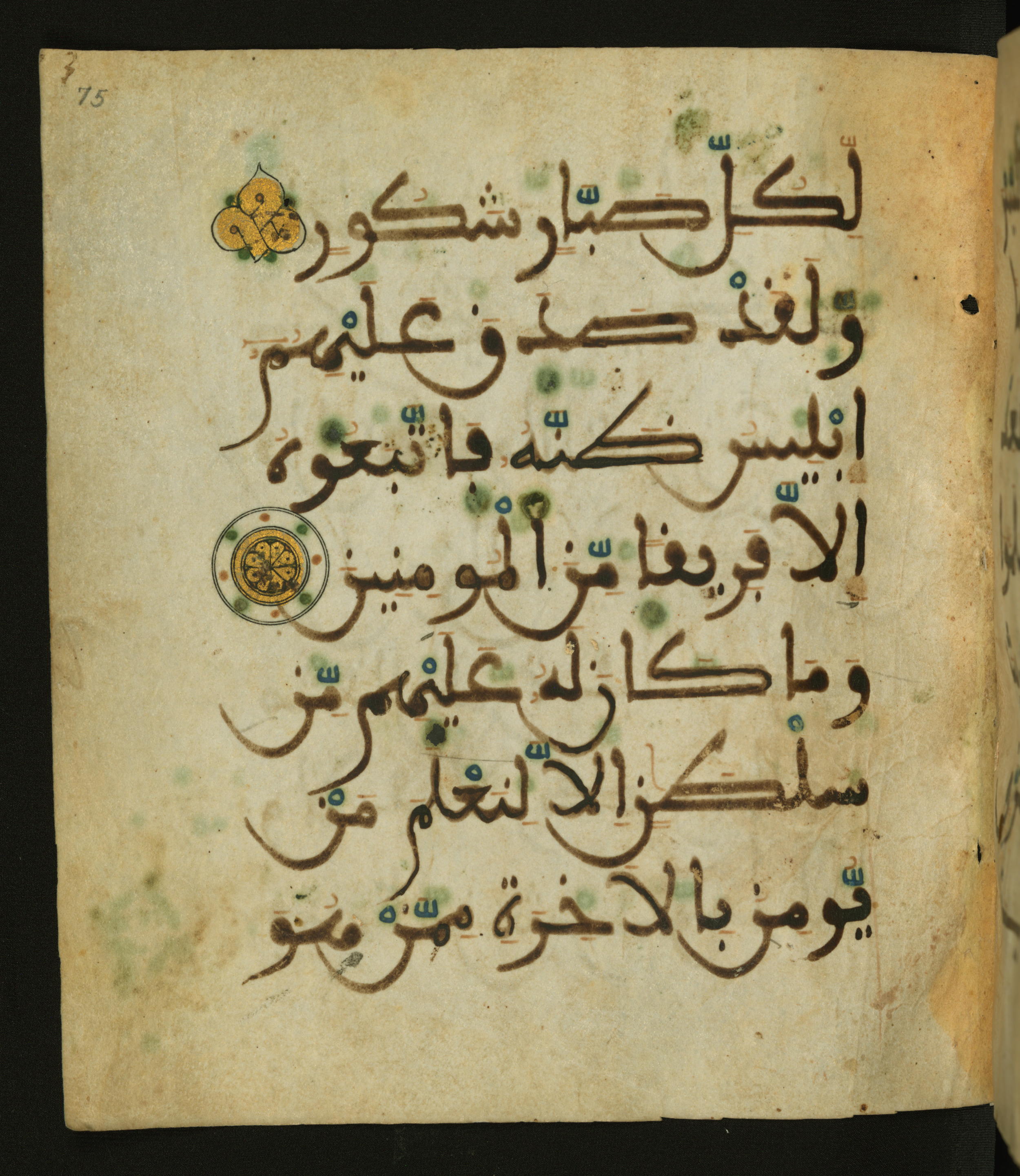 Baltimore, Maryland, The Walters Art Museum, W.556 (Scan 2), in maġribī script, showing Surah 34:19 from 13th to 15th Century AD found in Unknown, currently housed at The Walters Art Museum, Baltimore, Maryland