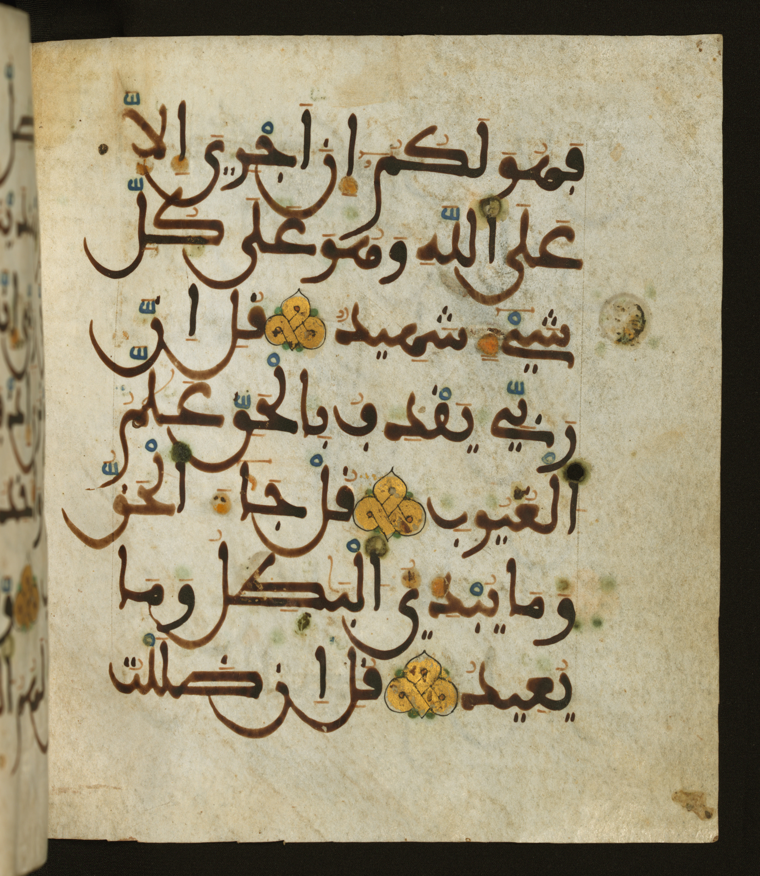 Baltimore, Maryland, The Walters Art Museum, W.556, in maġribī script, showing Surah 34:48 from 13th to 15th Century AD found in Unknown, currently housed at The Walters Art Museum, Baltimore, Maryland