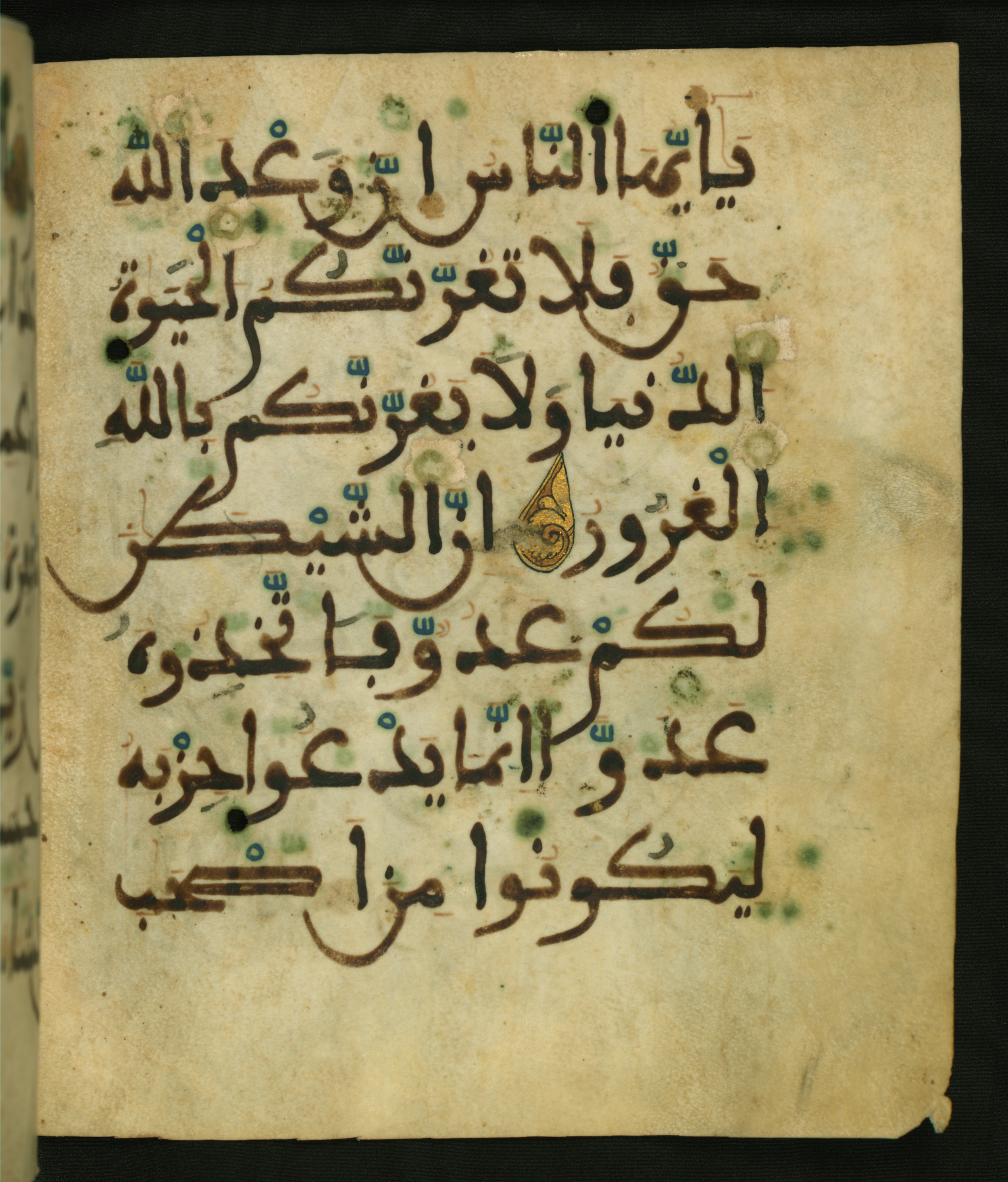 Baltimore, Maryland, The Walters Art Museum, W.556, in maġribī script, showing Surah 35:5 from 13th to 15th Century AD found in Unknown, currently housed at The Walters Art Museum, Baltimore, Maryland