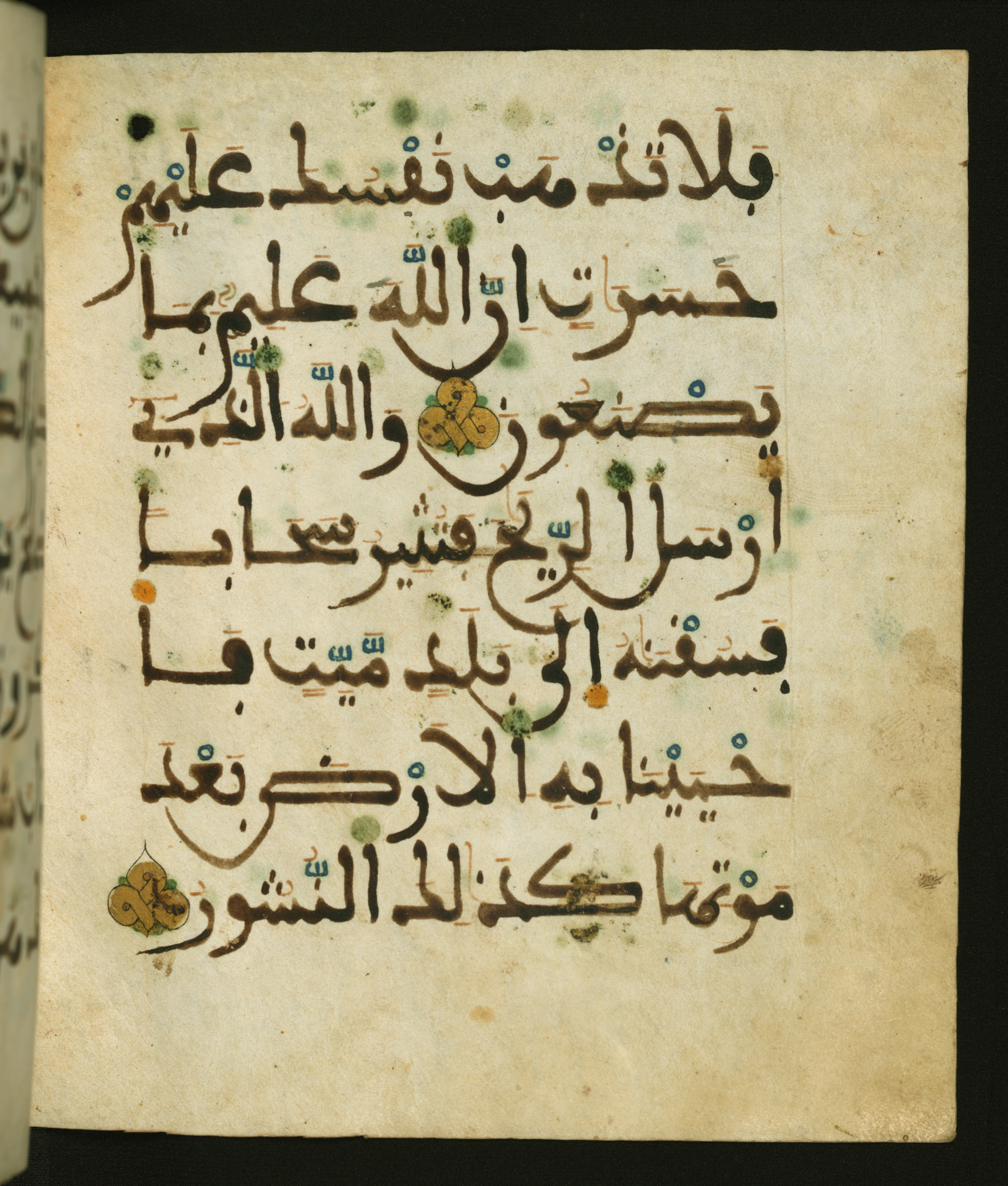 Baltimore, Maryland, The Walters Art Museum, W.556, in maġribī script, showing Surah 35:9 from 13th to 15th Century AD found in Unknown, currently housed at The Walters Art Museum, Baltimore, Maryland