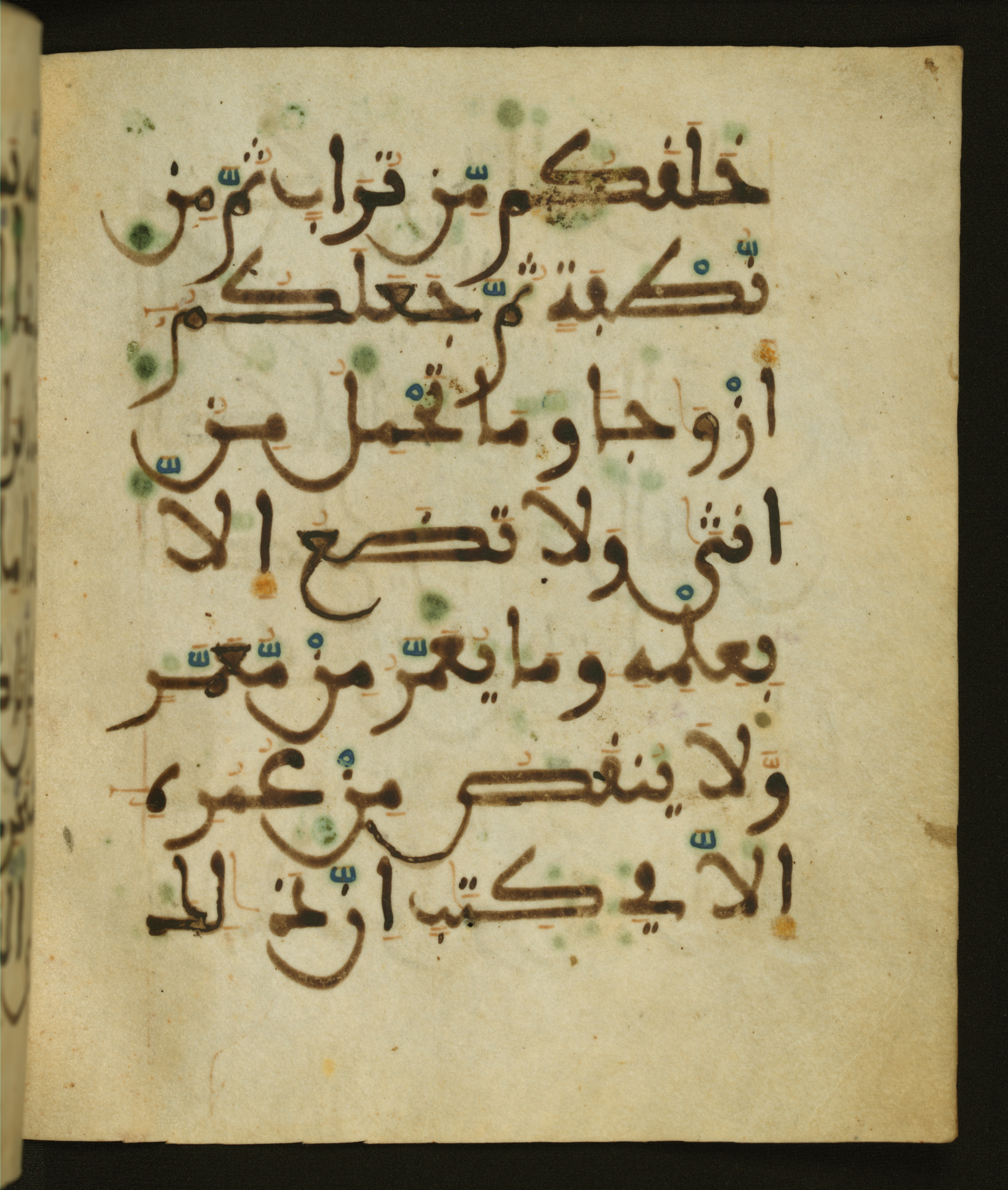 Baltimore, Maryland, The Walters Art Museum, W.556 (Scan 2), in maġribī script, showing Surah 35:11 from 13th to 15th Century AD found in Unknown, currently housed at The Walters Art Museum, Baltimore, Maryland