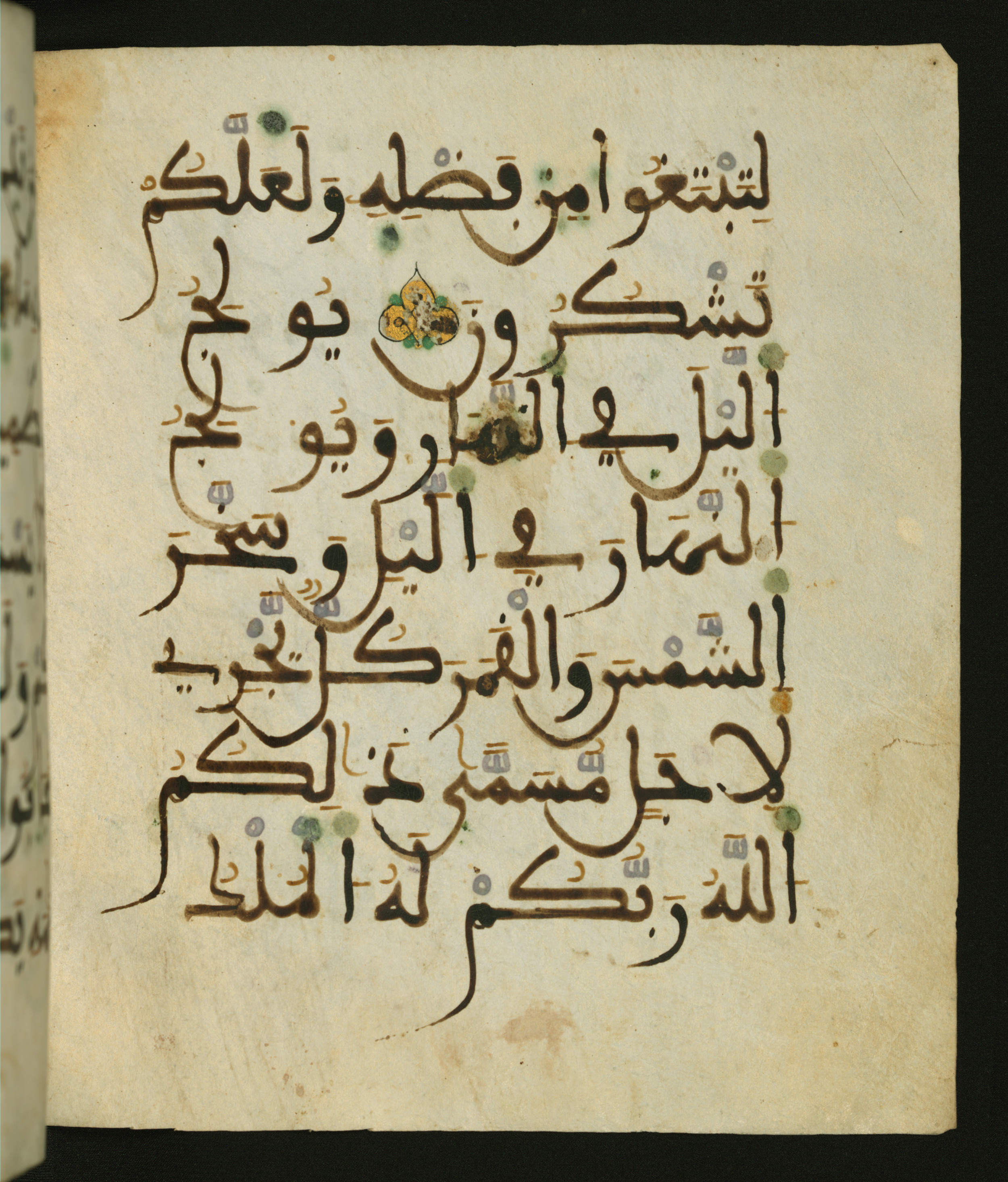 Baltimore, Maryland, The Walters Art Museum, W.556 (Scan 2), in maġribī script, showing Surah 35:12 from 13th to 15th Century AD found in Unknown, currently housed at The Walters Art Museum, Baltimore, Maryland