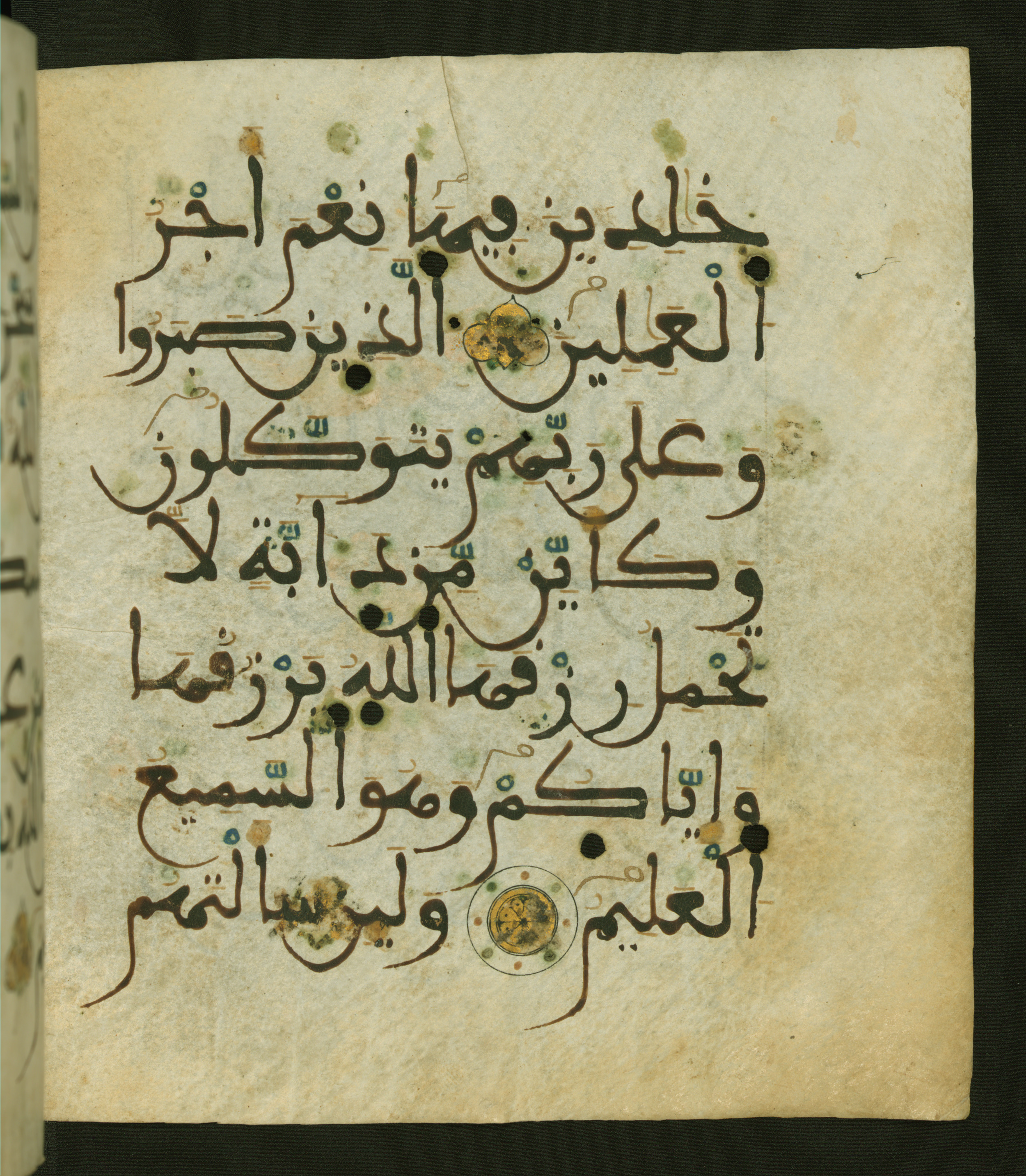 Baltimore, Maryland, The Walters Art Museum, W.556, in maġribī script, showing Surah 29:60 from 13th to 15th Century AD found in Unknown, currently housed at The Walters Art Museum, Baltimore, Maryland
