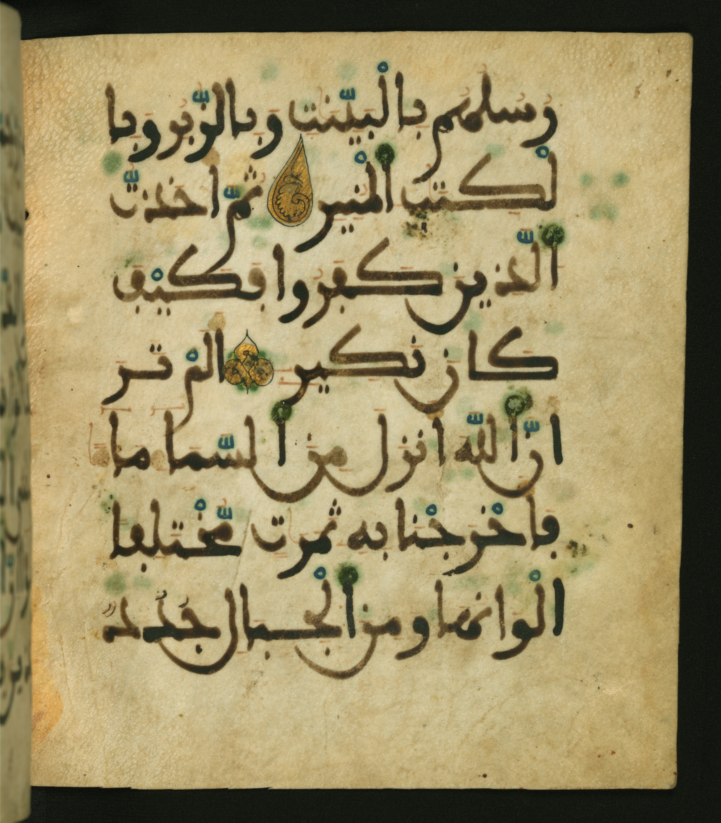 Baltimore, Maryland, The Walters Art Museum, W.556 (Scan 1), in maġribī script, showing Surah 35:27 from 13th to 15th Century AD found in Unknown, currently housed at The Walters Art Museum, Baltimore, Maryland