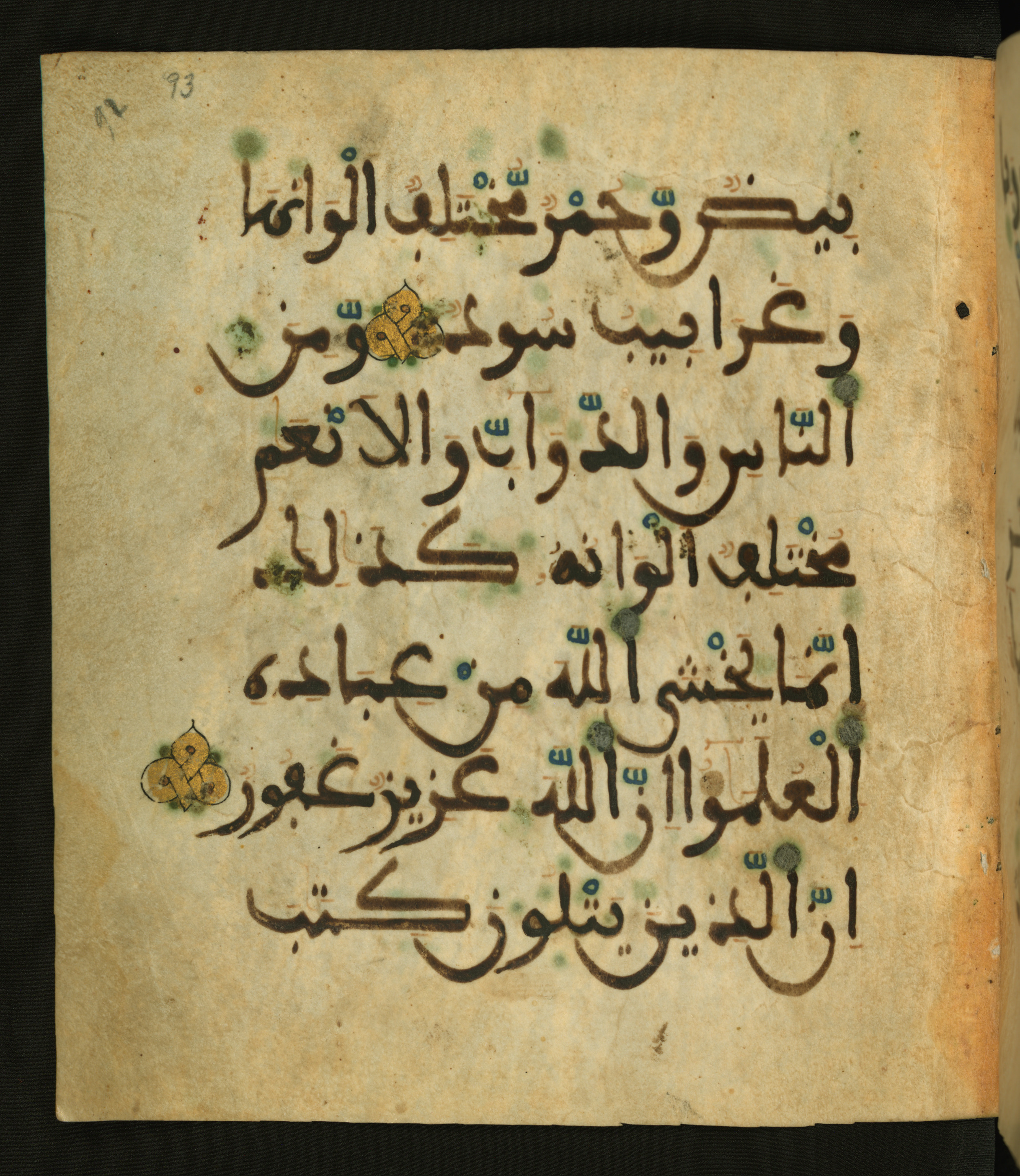 Baltimore, Maryland, The Walters Art Museum, W.556, in maġribī script, showing Surah 35:28 from 13th to 15th Century AD found in Unknown, currently housed at The Walters Art Museum, Baltimore, Maryland