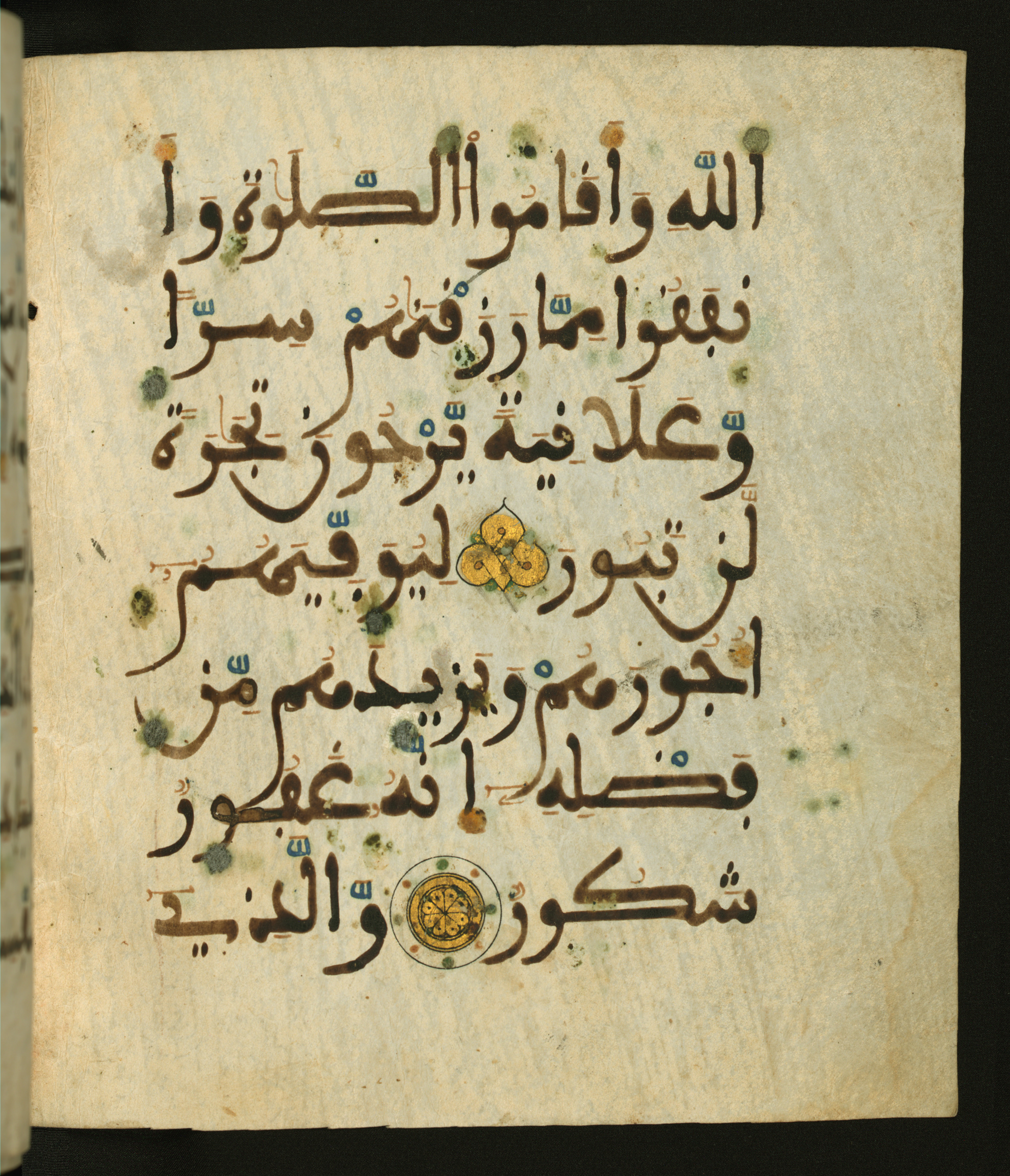 Baltimore, Maryland, The Walters Art Museum, W.556 (Scan 2), in maġribī script, showing Surah 35:29 from 13th to 15th Century AD found in Unknown, currently housed at The Walters Art Museum, Baltimore, Maryland