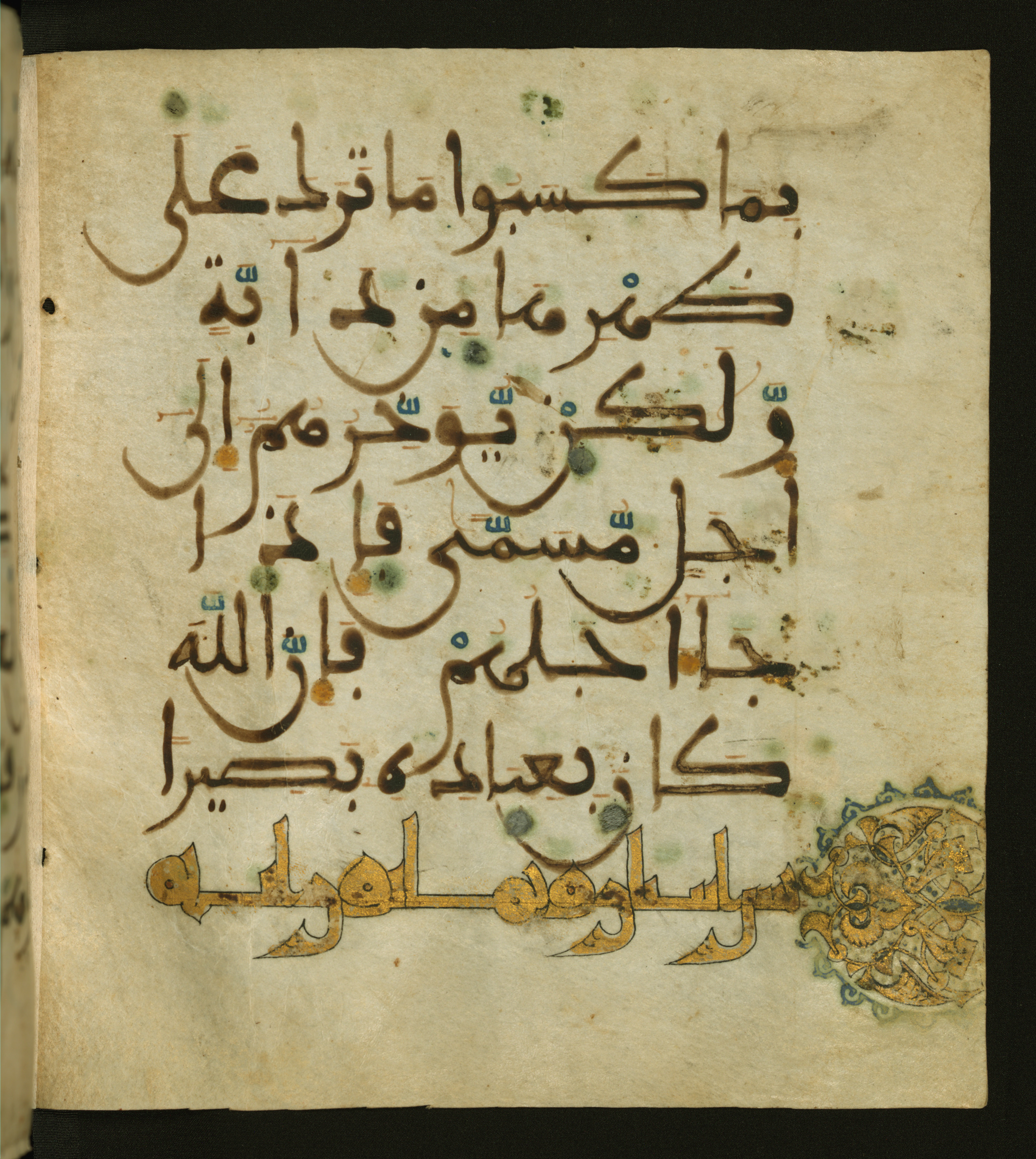 Baltimore, Maryland, The Walters Art Museum, W.556 (Scan 2), in maġribī script, showing Surah 35:45 from 13th to 15th Century AD found in Unknown, currently housed at The Walters Art Museum, Baltimore, Maryland