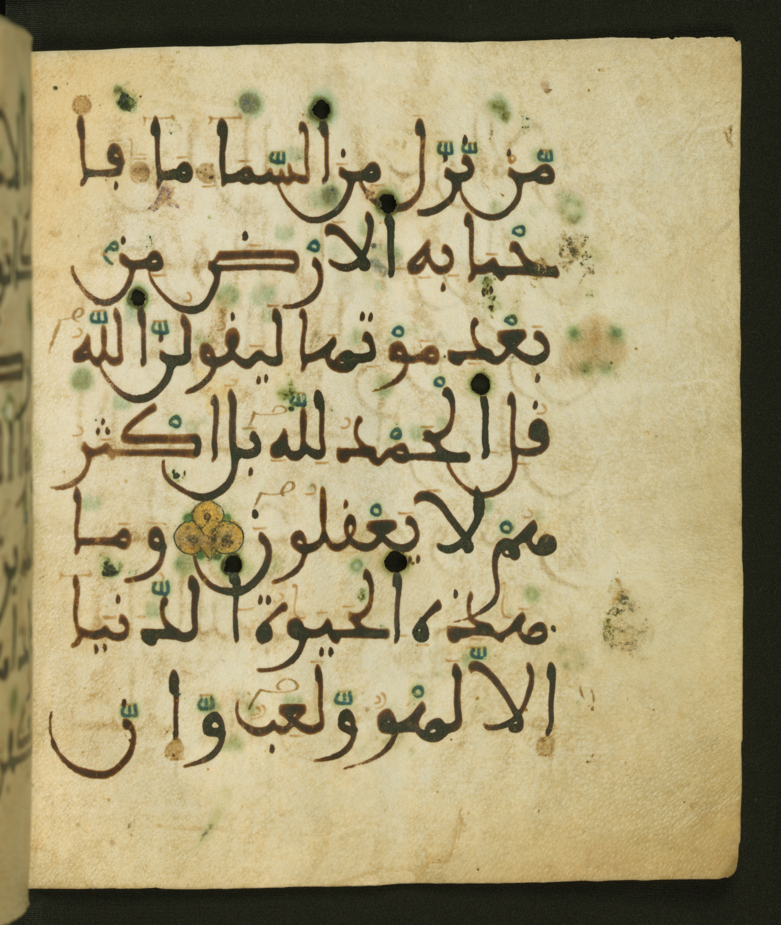Baltimore, Maryland, The Walters Art Museum, W.556 (Scan 2), in maġribī script, showing Surah 29:64 from 13th to 15th Century AD found in Unknown, currently housed at The Walters Art Museum, Baltimore, Maryland
