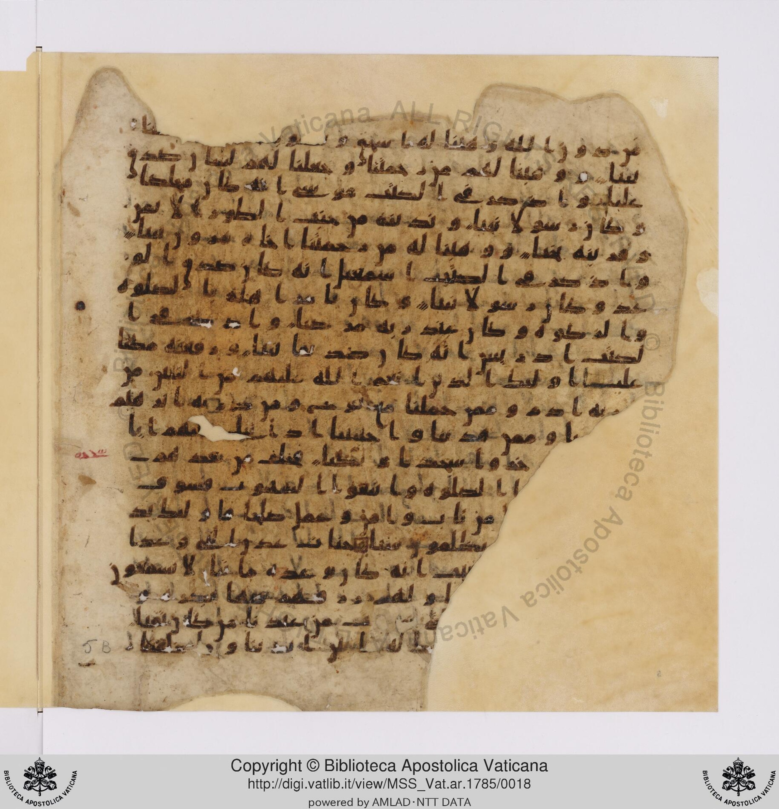 Vat. ar. 1785, in ḥiǧāzī IV, kūfī B.Ia script, showing Surah 19:49 from Mid to Late 7th Century AD found in Unknown, currently housed at Biblioteca Apostolica Vaticana, Rome