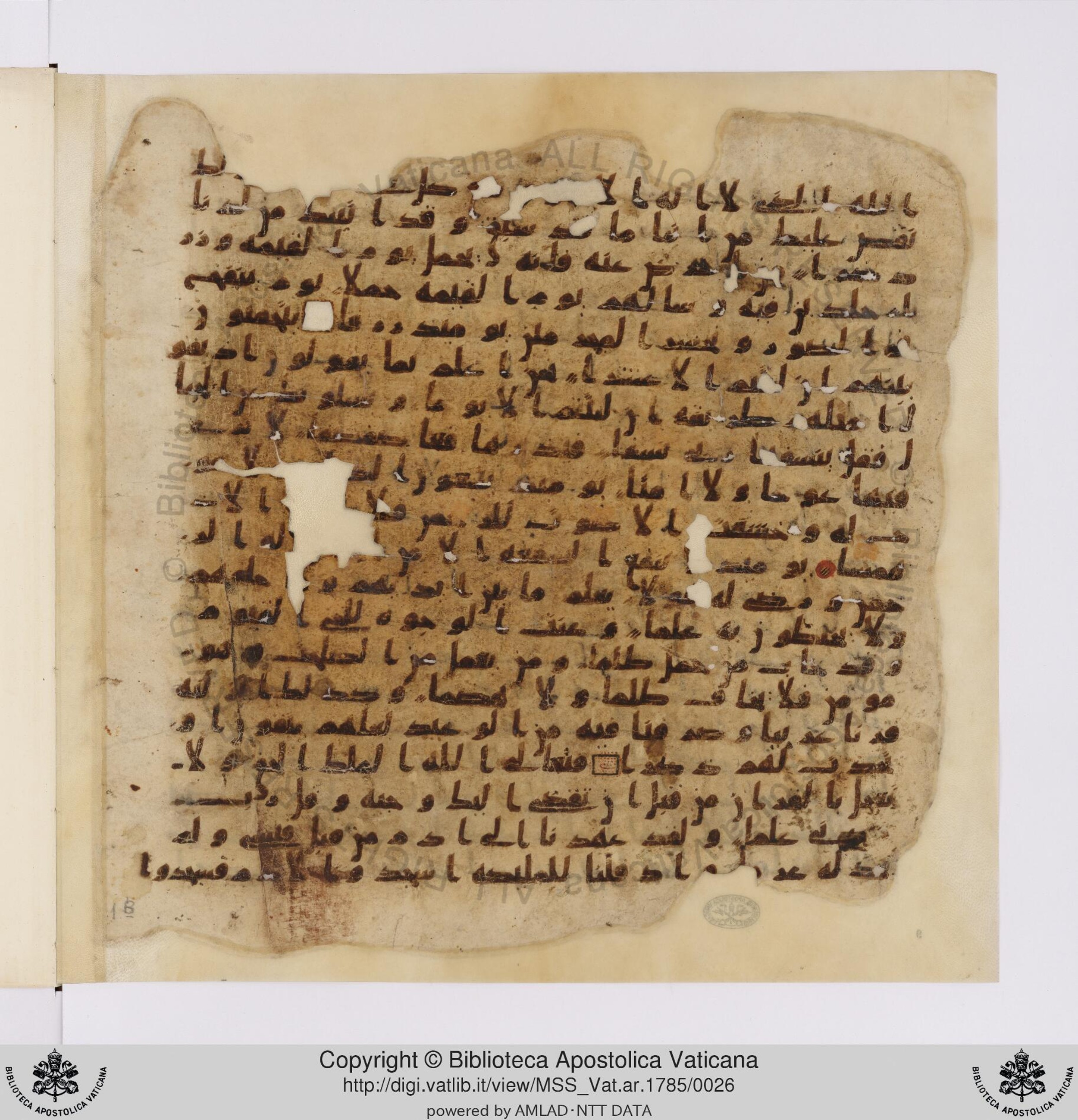Vat. ar. 1785, in ḥiǧāzī IV, kūfī B.Ia script, showing Surah 20:113 from Mid to Late 7th Century AD found in Unknown, currently housed at Biblioteca Apostolica Vaticana, Rome