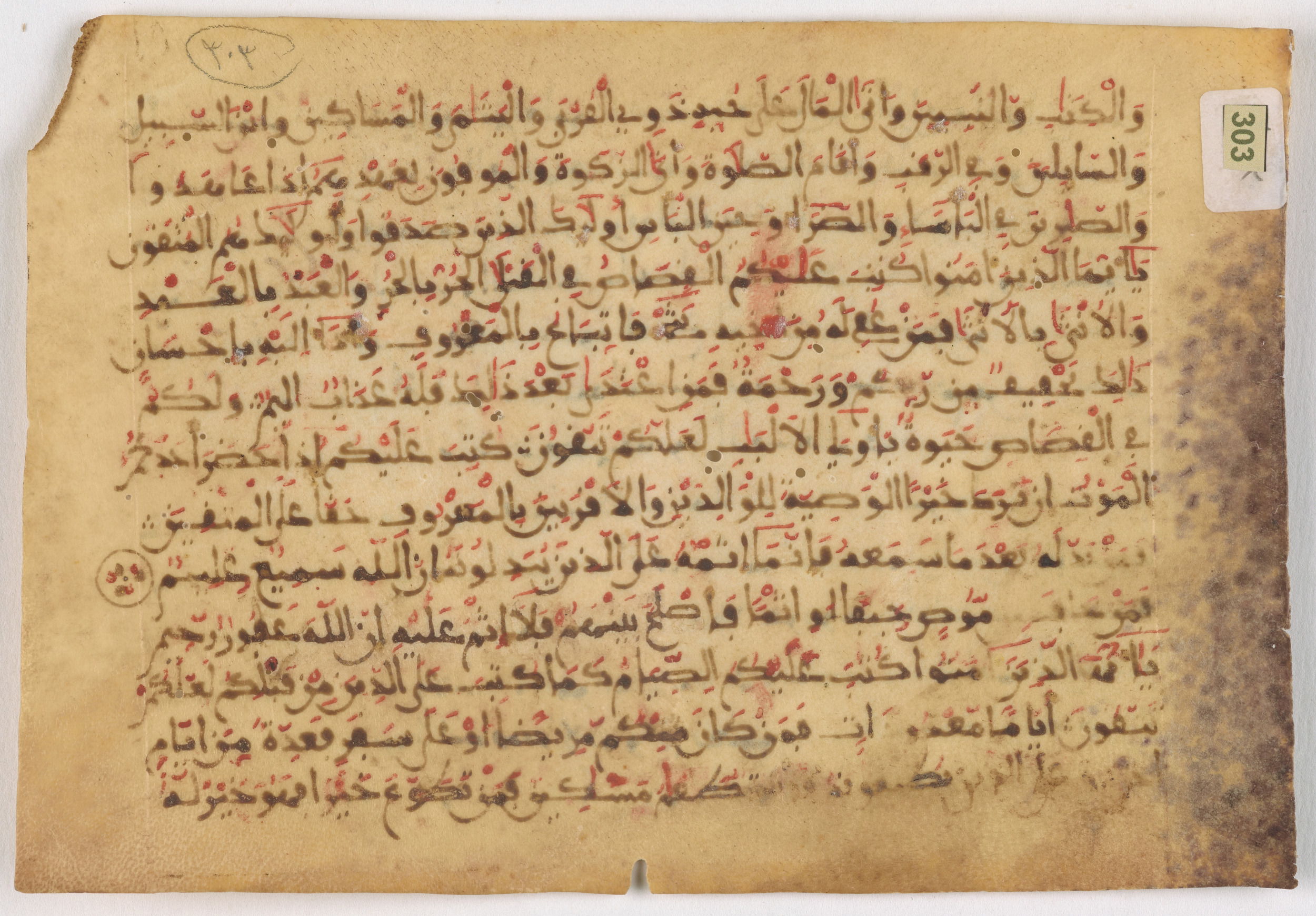 Qatar National Library HC.MS.03169, in Maġribī round script script, showing Surah 2:183 from 11th Century AD found in North Africa (Maghreb) or Muslim Iberia (al-Andalus), currently housed at Qatar National Library, Doha, Qatar