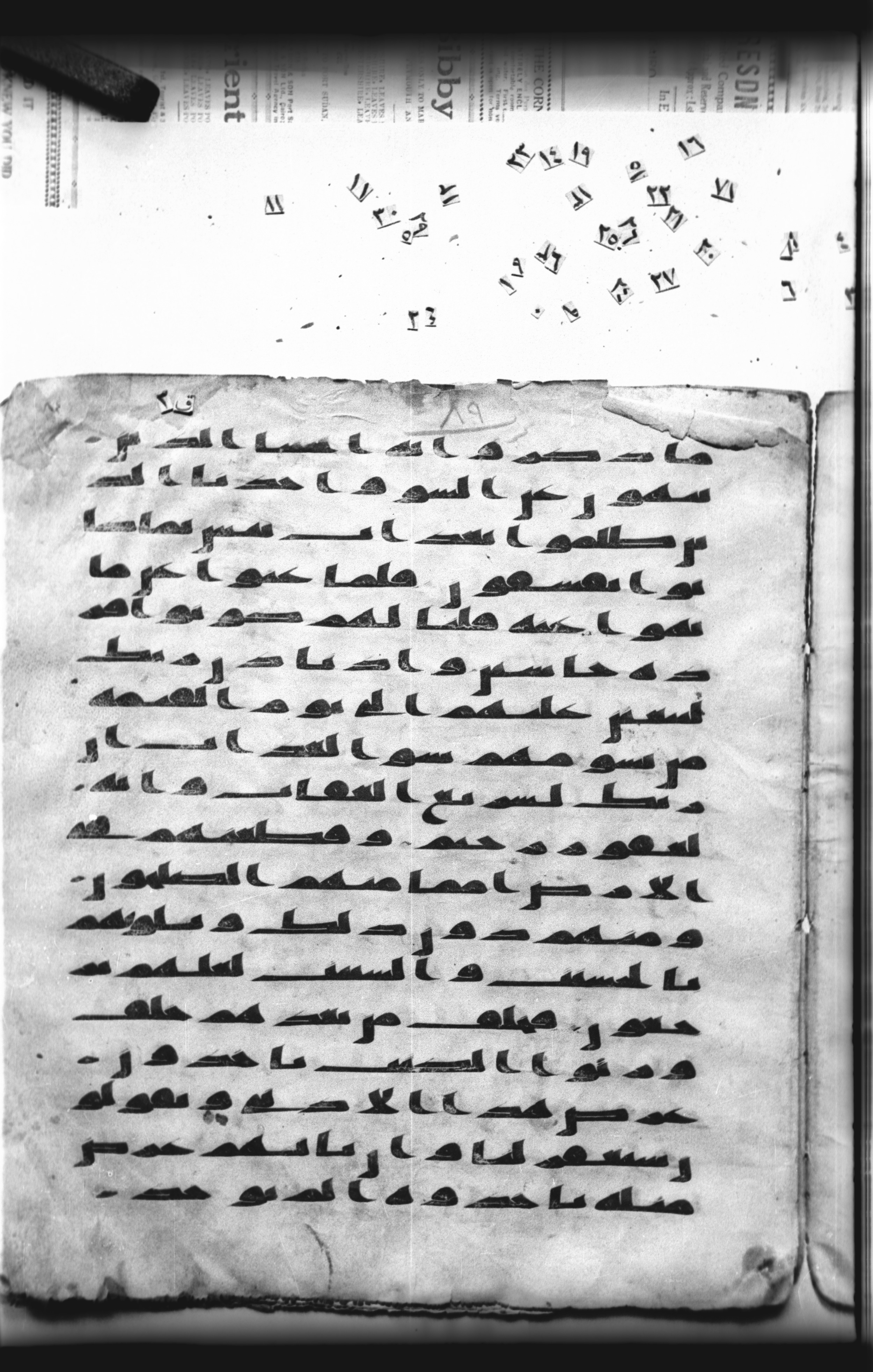 Cairo, Khedivial Library, "qāf 3" (Gotthelf Bergsträßer archives) [maṣāḥif 387], in kūfī type C script, showing Surah 7:166 from 8th Century AD found in Egypt, currently housed at Egyptian National Library and Archives, Cairo