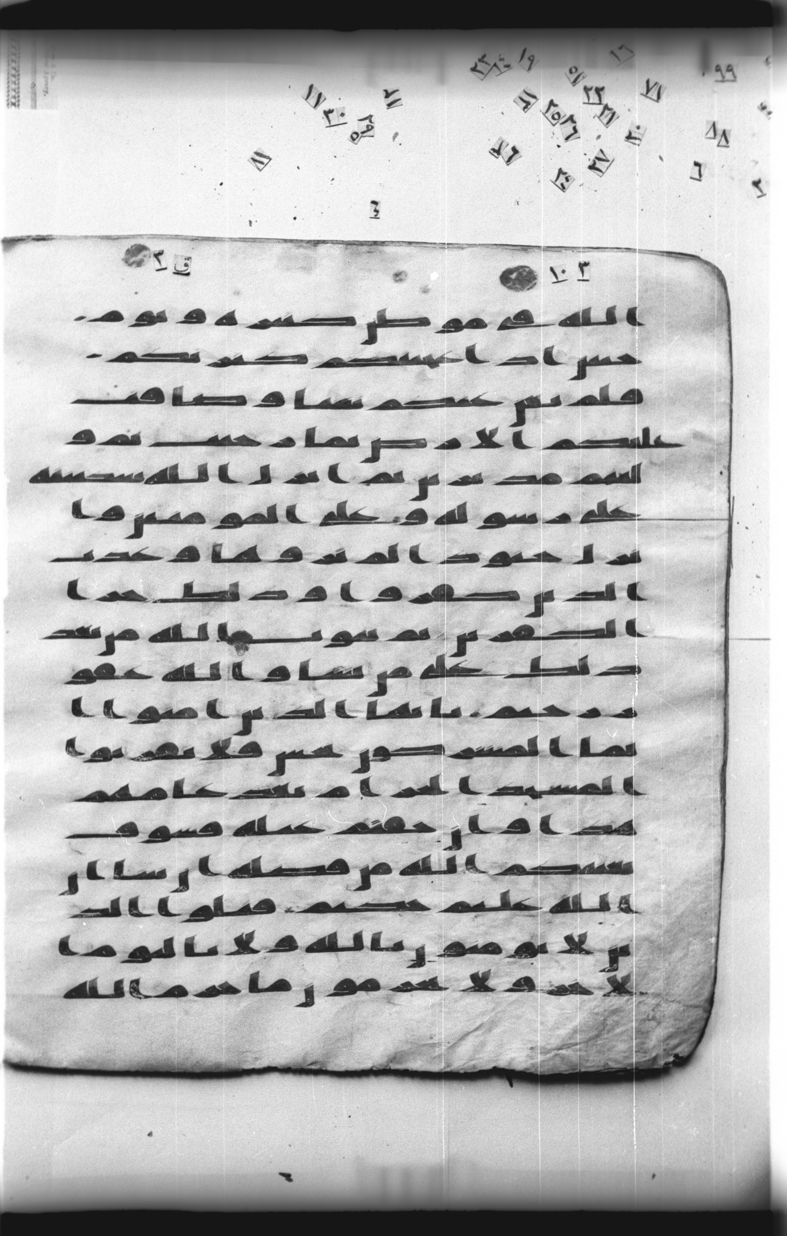 Cairo, Khedivial Library, "qāf 3" (Gotthelf Bergsträßer archives) [maṣāḥif 387] (Scan 1), in kūfī type C script, showing Surah 9:29 from 8th Century AD found in Egypt, currently housed at Egyptian National Library and Archives, Cairo
