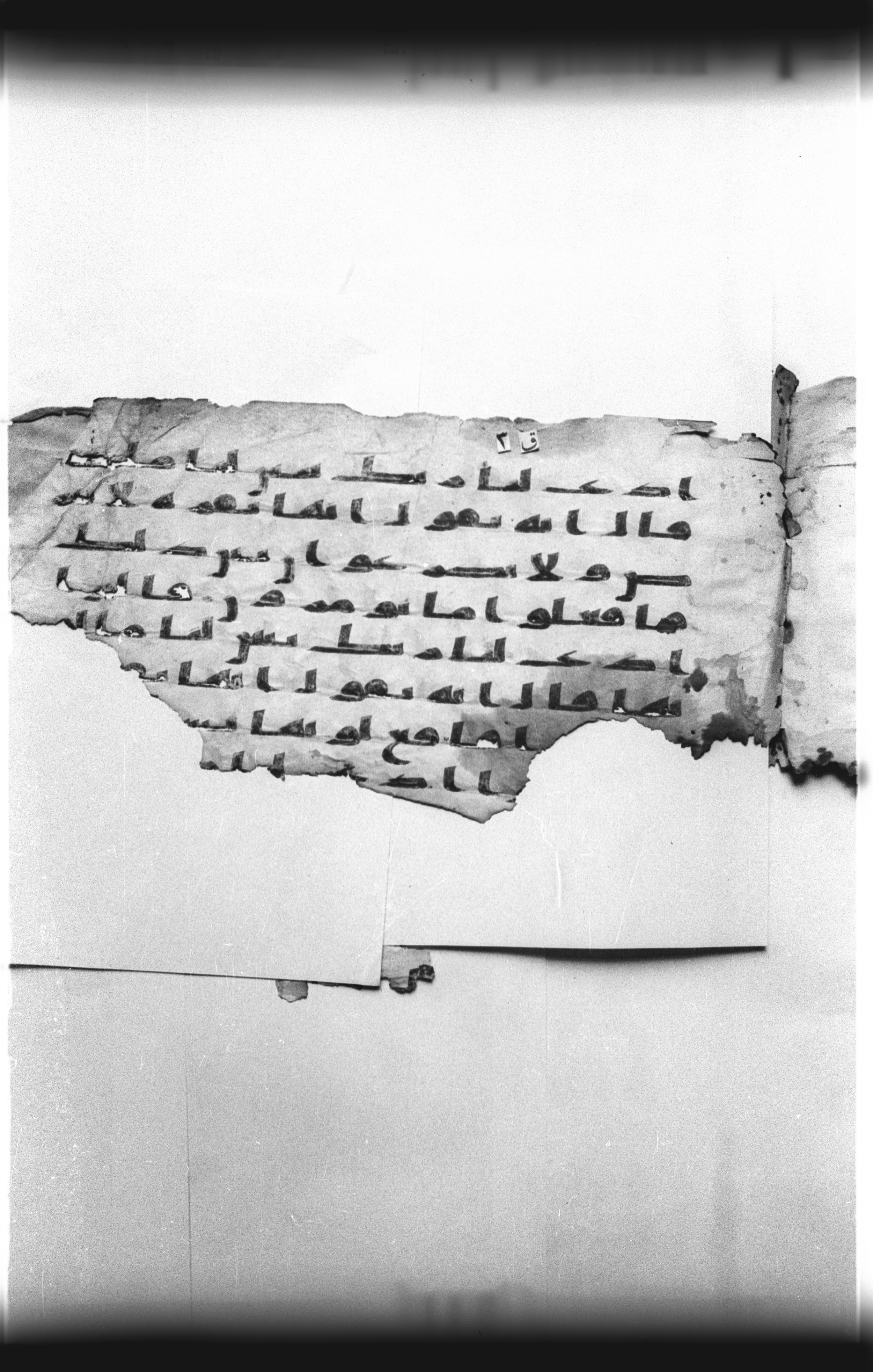 Cairo, Khedivial Library, "qāf 3" (Gotthelf Bergsträßer archives) [maṣāḥif 387], in kūfī type C script, showing Surah 2:69 from 8th Century AD found in Egypt, currently housed at Egyptian National Library and Archives, Cairo