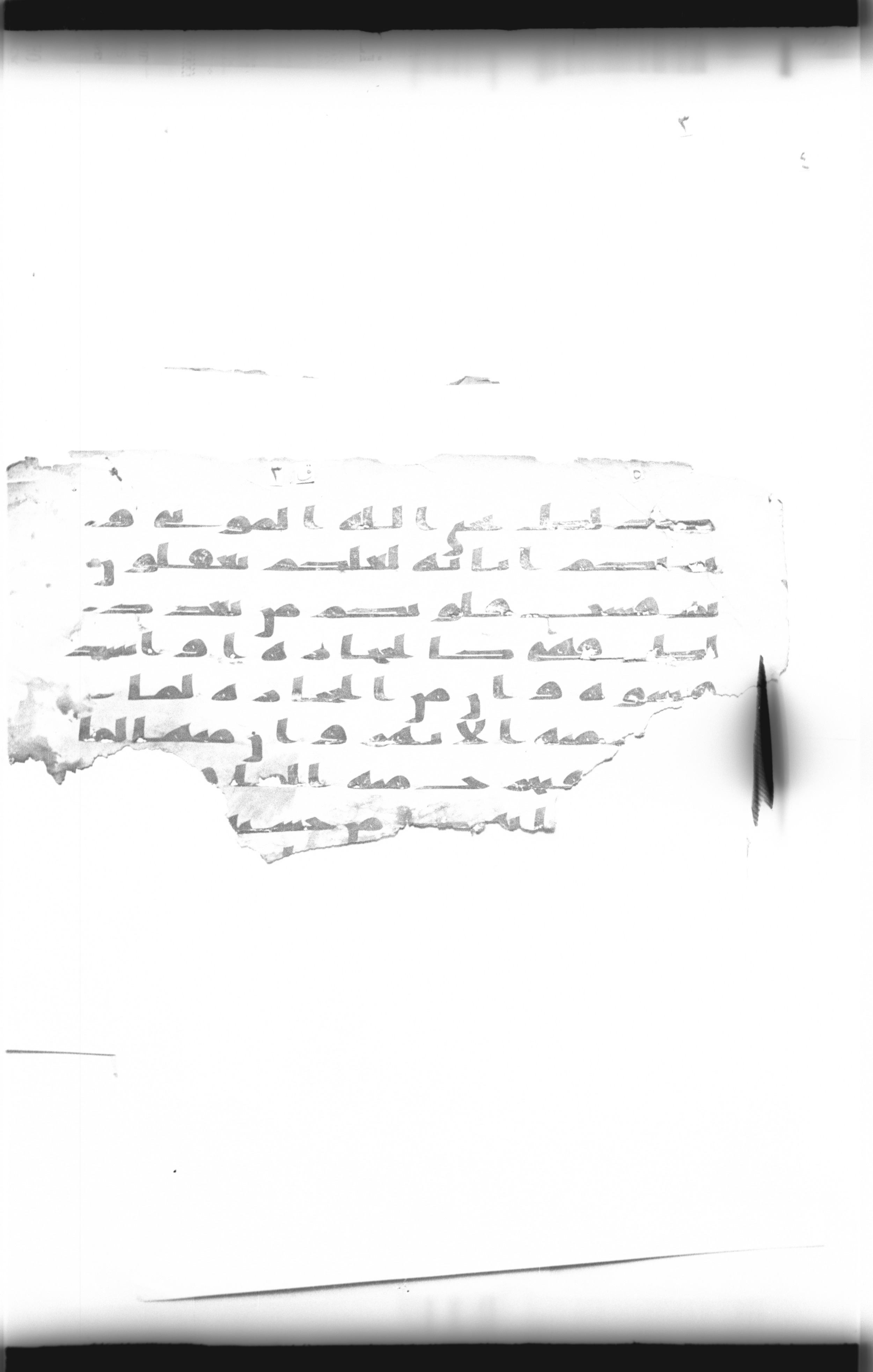 Cairo, Khedivial Library, "qāf 3" (Gotthelf Bergsträßer archives) [maṣāḥif 387], in kūfī type C script, showing Surah 2:73 from 8th Century AD found in Egypt, currently housed at Egyptian National Library and Archives, Cairo