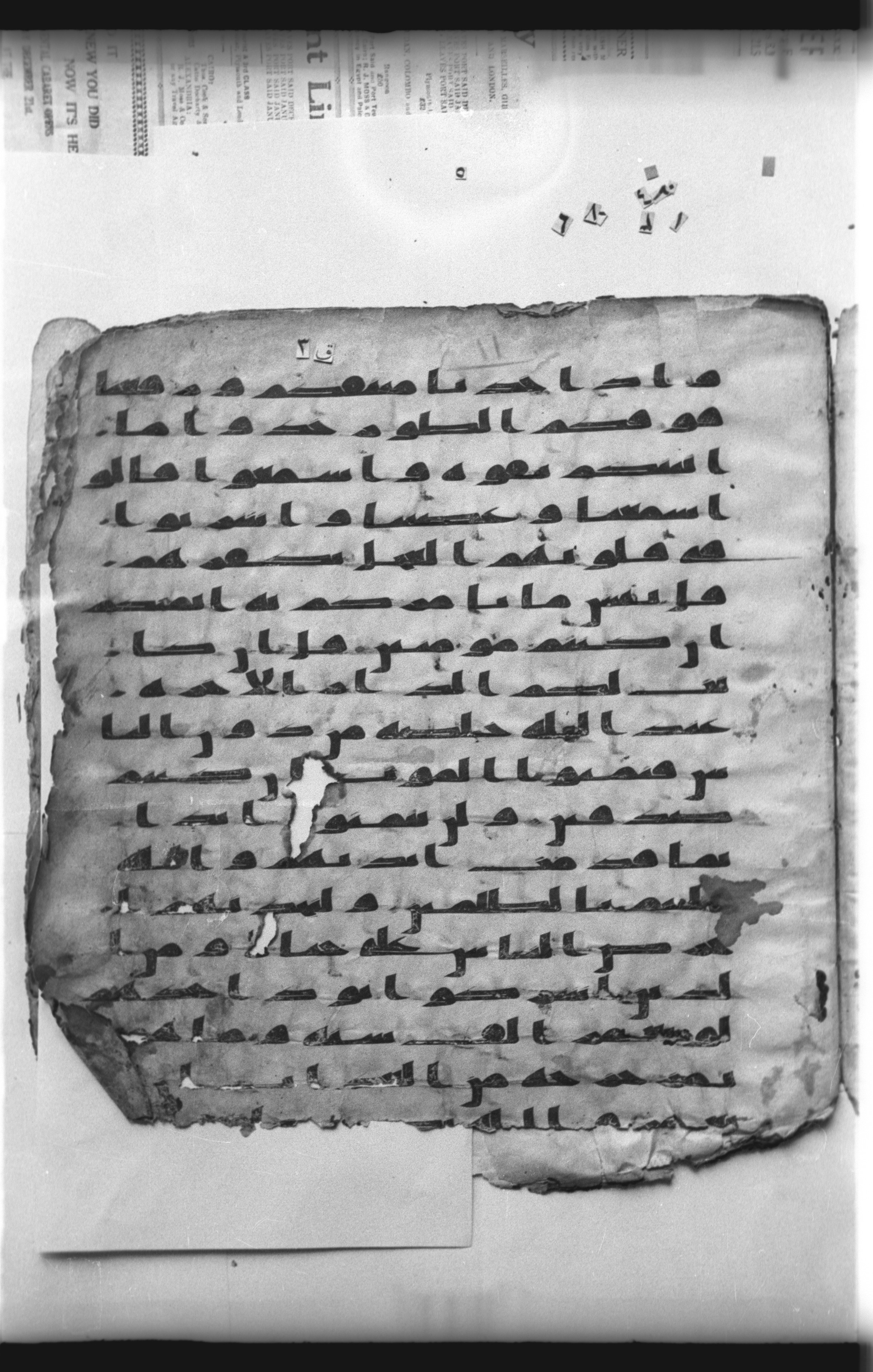 Cairo, Khedivial Library, "qāf 3" (Gotthelf Bergsträßer archives) [maṣāḥif 387], in kūfī type C script, showing Surah 2:95 from 8th Century AD found in Egypt, currently housed at Egyptian National Library and Archives, Cairo