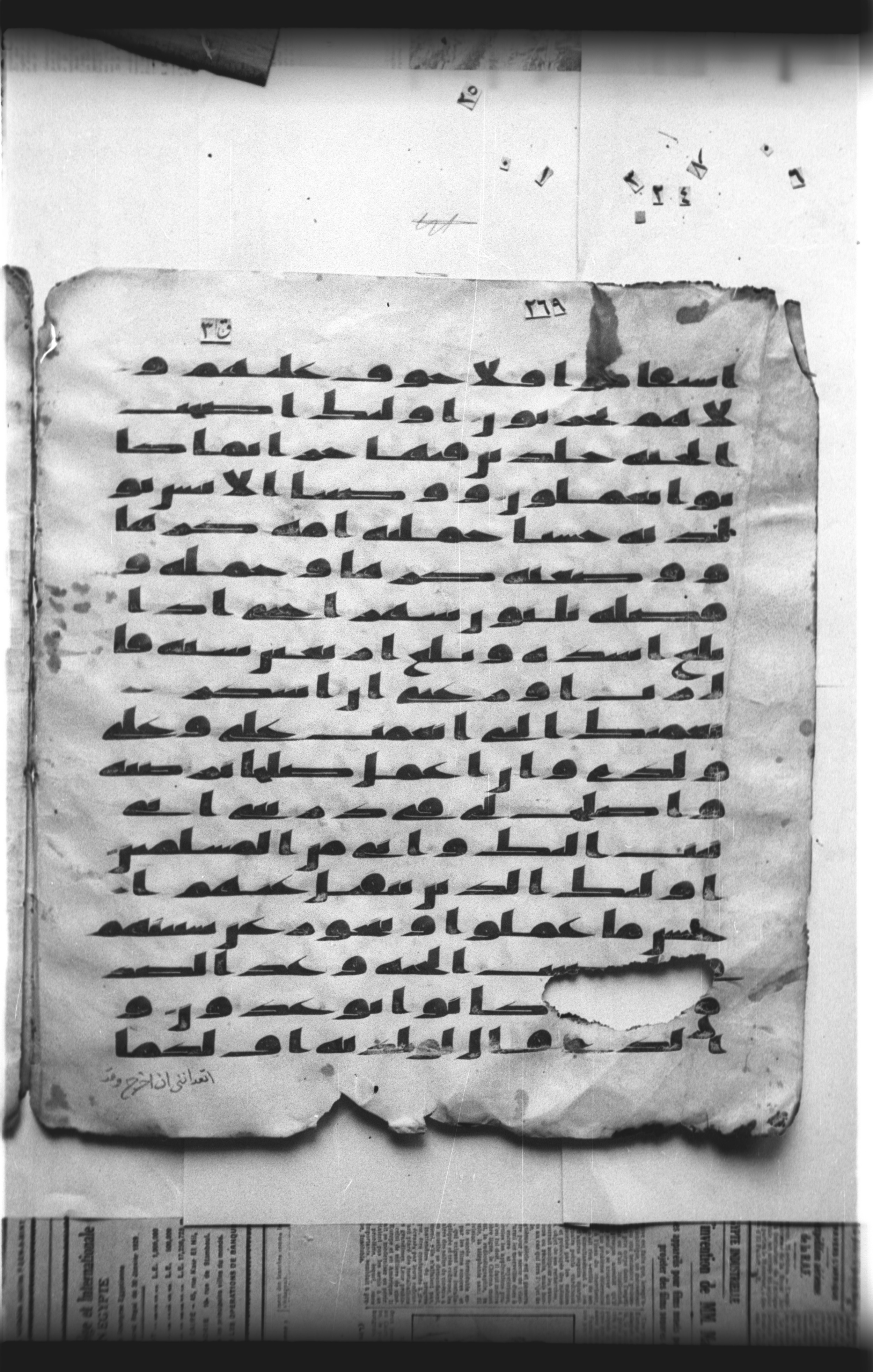 Cairo, Khedivial Library, "qāf 3" (Gotthelf Bergsträßer archives) [maṣāḥif 387] (Scan 2), in kūfī type C script, showing Surah 46:13 from 8th Century AD found in Egypt, currently housed at Egyptian National Library and Archives, Cairo