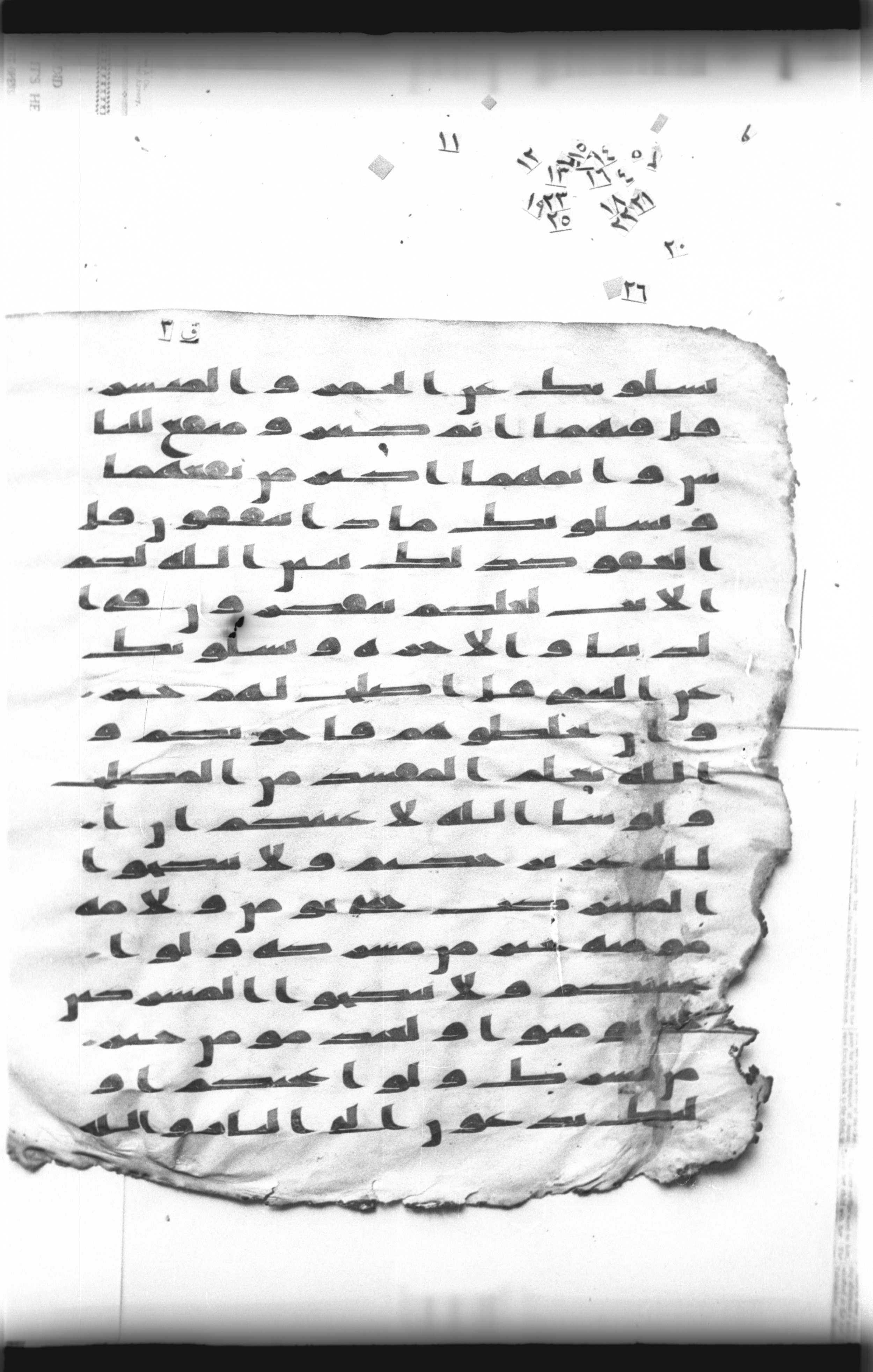 Cairo, Khedivial Library, "qāf 3" (Gotthelf Bergsträßer archives) [maṣāḥif 387], in kūfī type C script, showing Surah 2:220 from 8th Century AD found in Egypt, currently housed at Egyptian National Library and Archives, Cairo
