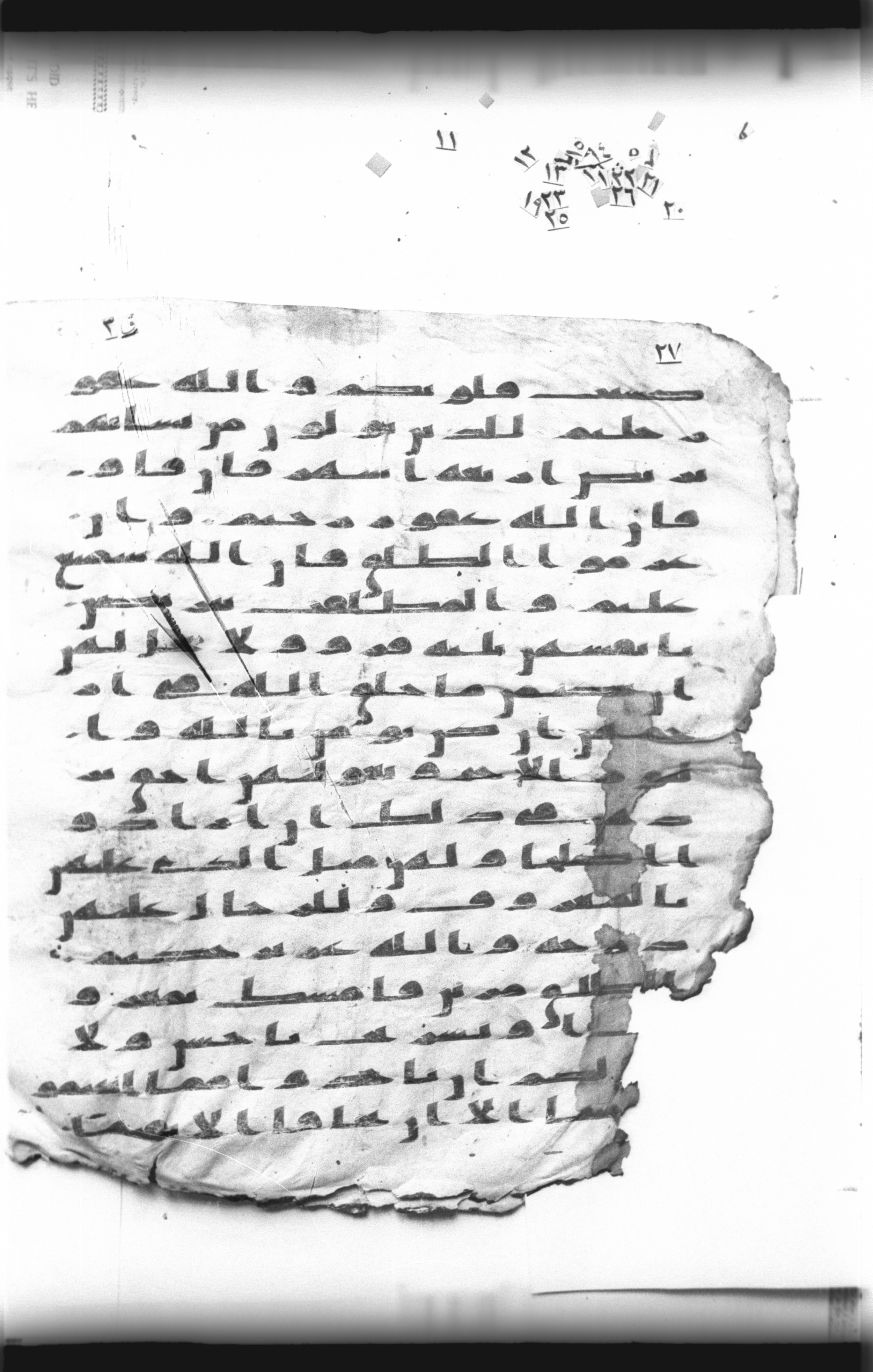 Cairo, Khedivial Library, "qāf 3" (Gotthelf Bergsträßer archives) [maṣāḥif 387] (Scan 1), in kūfī type C script, showing Surah 2:229 from 8th Century AD found in Egypt, currently housed at Egyptian National Library and Archives, Cairo