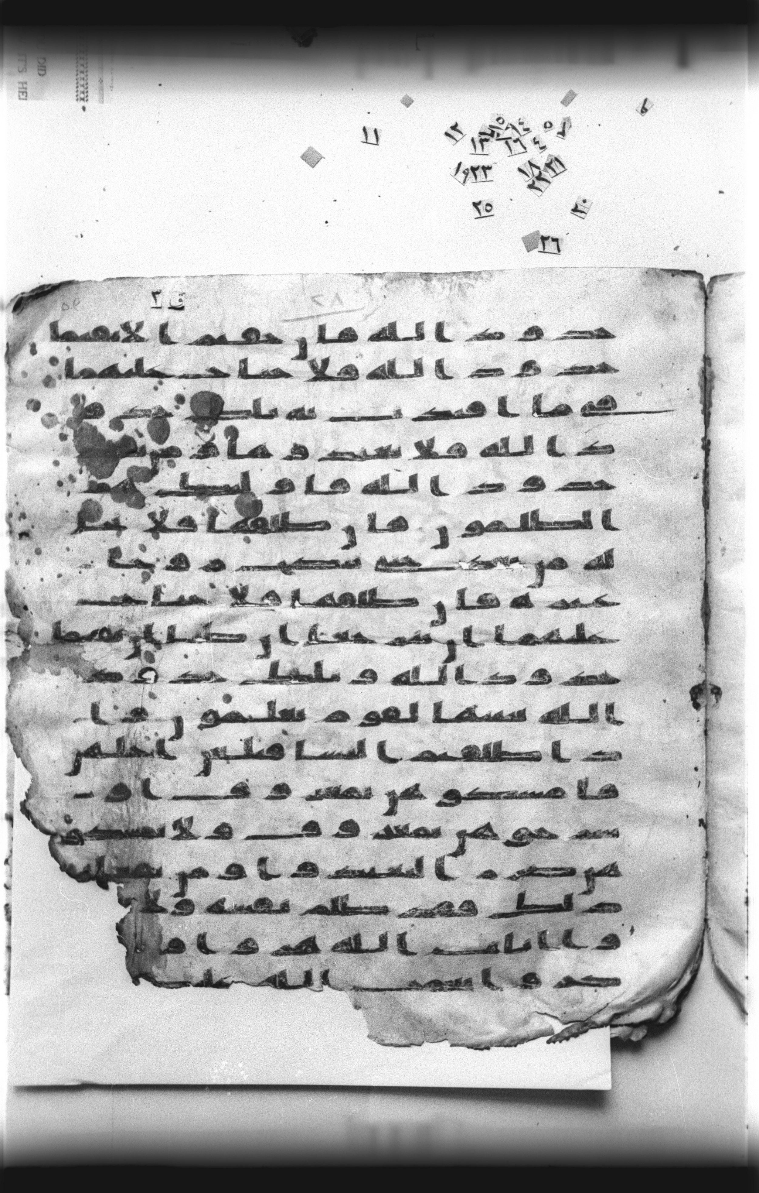 Cairo, Khedivial Library, "qāf 3" (Gotthelf Bergsträßer archives) [maṣāḥif 387] (Scan 1), in kūfī type C script, showing Surah 2:231 from 8th Century AD found in Egypt, currently housed at Egyptian National Library and Archives, Cairo