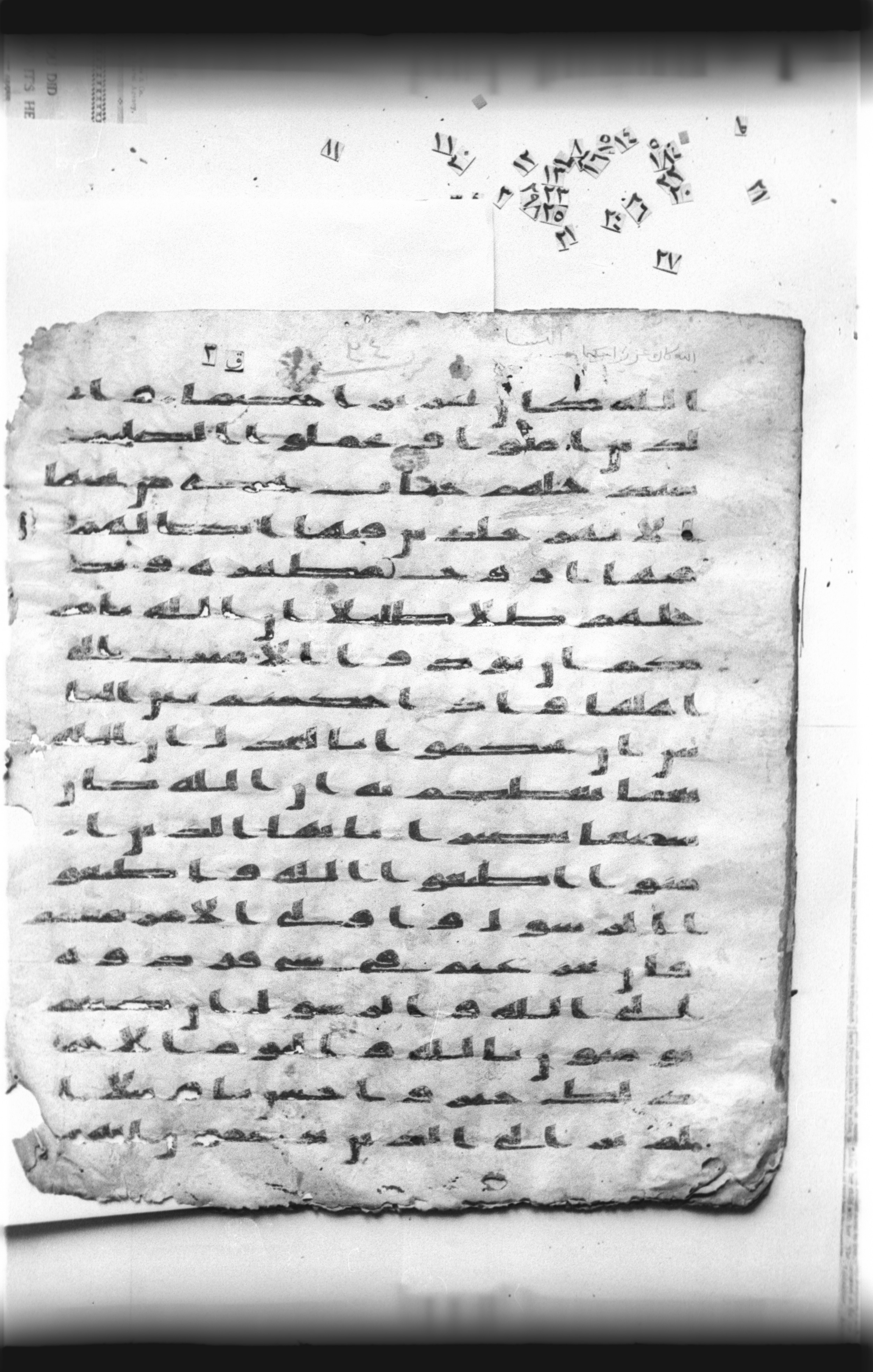 Cairo, Khedivial Library, "qāf 3" (Gotthelf Bergsträßer archives) [maṣāḥif 387], in kūfī type C script, showing Surah 4:57 from 8th Century AD found in Egypt, currently housed at Egyptian National Library and Archives, Cairo