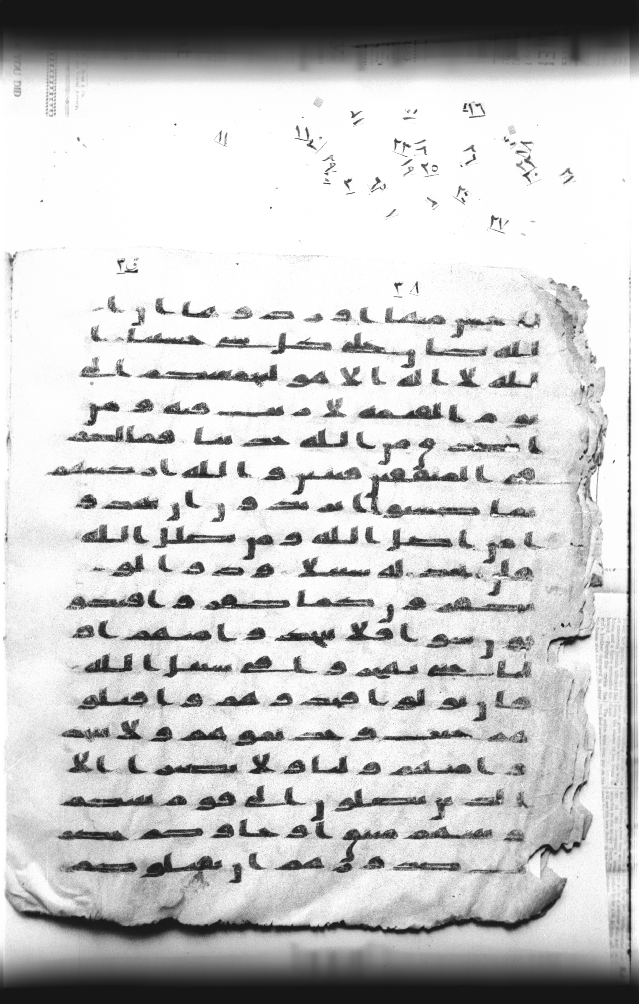 Cairo, Khedivial Library, "qāf 3" (Gotthelf Bergsträßer archives) [maṣāḥif 387], in kūfī type C script, showing Surah 4:89 from 8th Century AD found in Egypt, currently housed at Egyptian National Library and Archives, Cairo