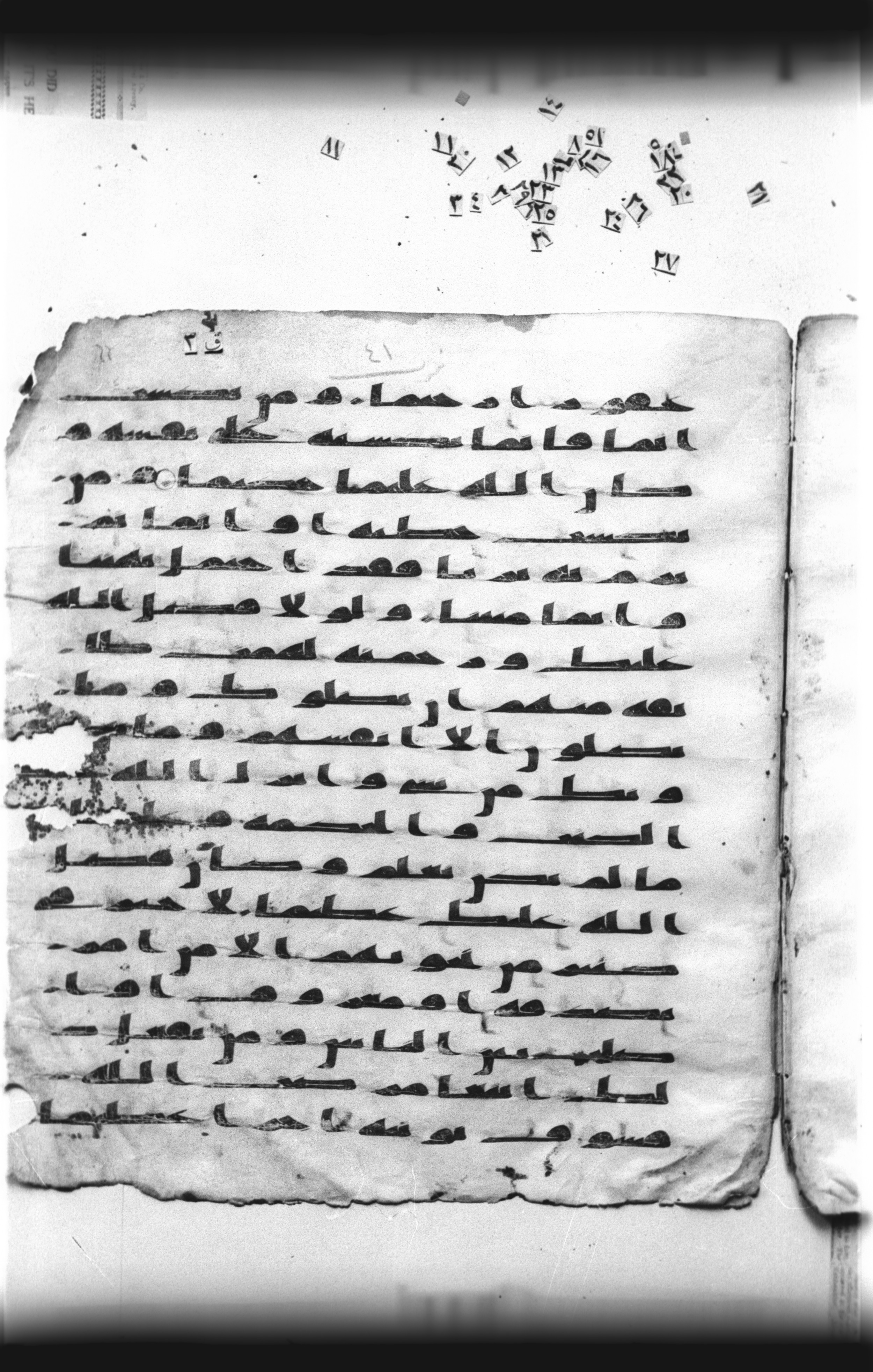 Cairo, Khedivial Library, "qāf 3" (Gotthelf Bergsträßer archives) [maṣāḥif 387] (Scan 2), in kūfī type C script, showing Surah 4:110 from 8th Century AD found in Egypt, currently housed at Egyptian National Library and Archives, Cairo