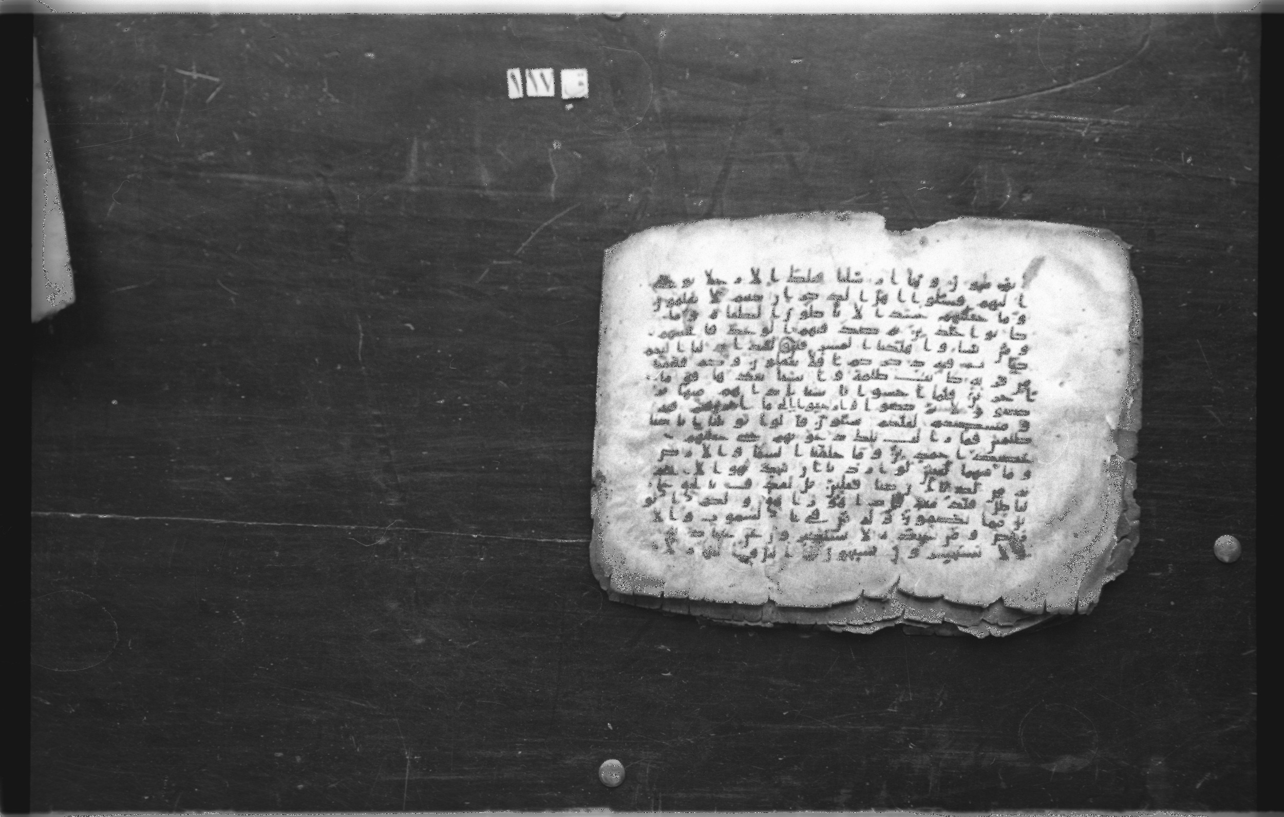 Cairo, Egyptian National Library and Archives, qāf 117 (Bergsträßer archives) (Scan 1), in Ḥiǧāzī, Kūfī (B, D), and Maġribī script, showing Surah 21:8 from Mid 7th Century to 14th Century AD found in Unknown, currently housed at Egyptian National Library and Archives (دار الكتب والوثائق القومية), Cairo