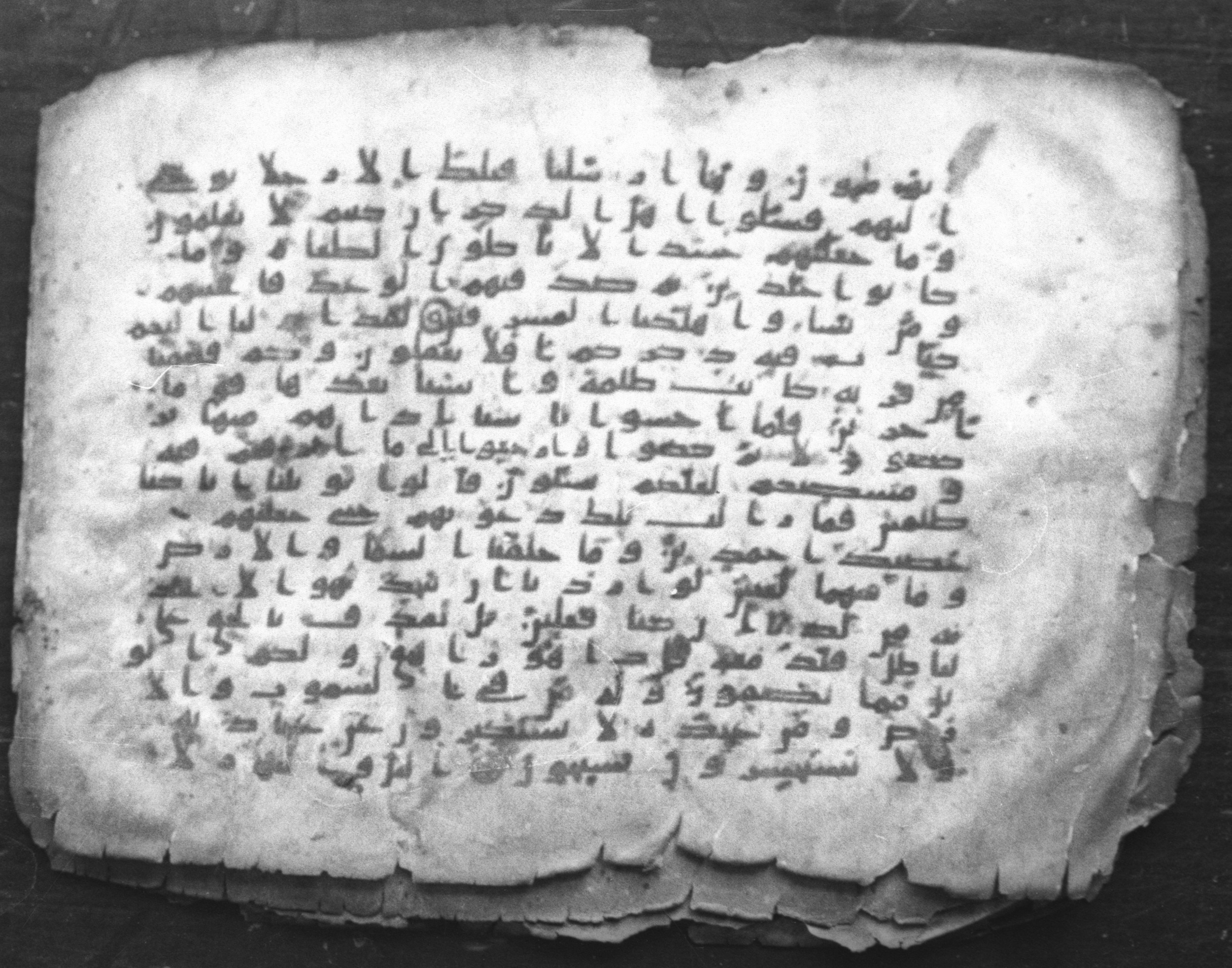 Cairo, Egyptian National Library and Archives, qāf 117 (Bergsträßer archives) (Scan 2), in Ḥiǧāzī, Kūfī (B, D), and Maġribī script, showing Surah 21:8 from Mid 7th Century to 14th Century AD found in Unknown, currently housed at Egyptian National Library and Archives (دار الكتب والوثائق القومية), Cairo