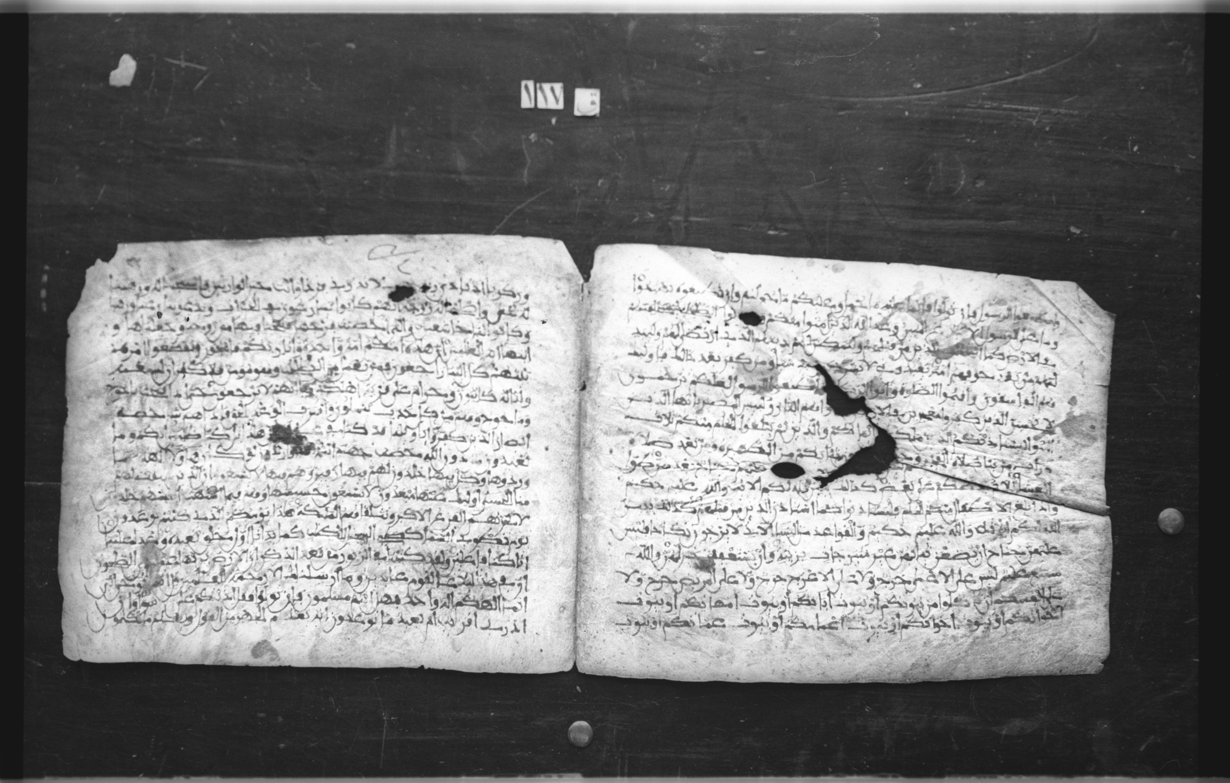 Cairo, Egyptian National Library and Archives, qāf 117 (Bergsträßer archives) (Scan 2), in Ḥiǧāzī, Kūfī (B, D), and Maġribī script, showing Surah 21:98 from Mid 7th Century to 14th Century AD found in Unknown, currently housed at Egyptian National Library and Archives (دار الكتب والوثائق القومية), Cairo