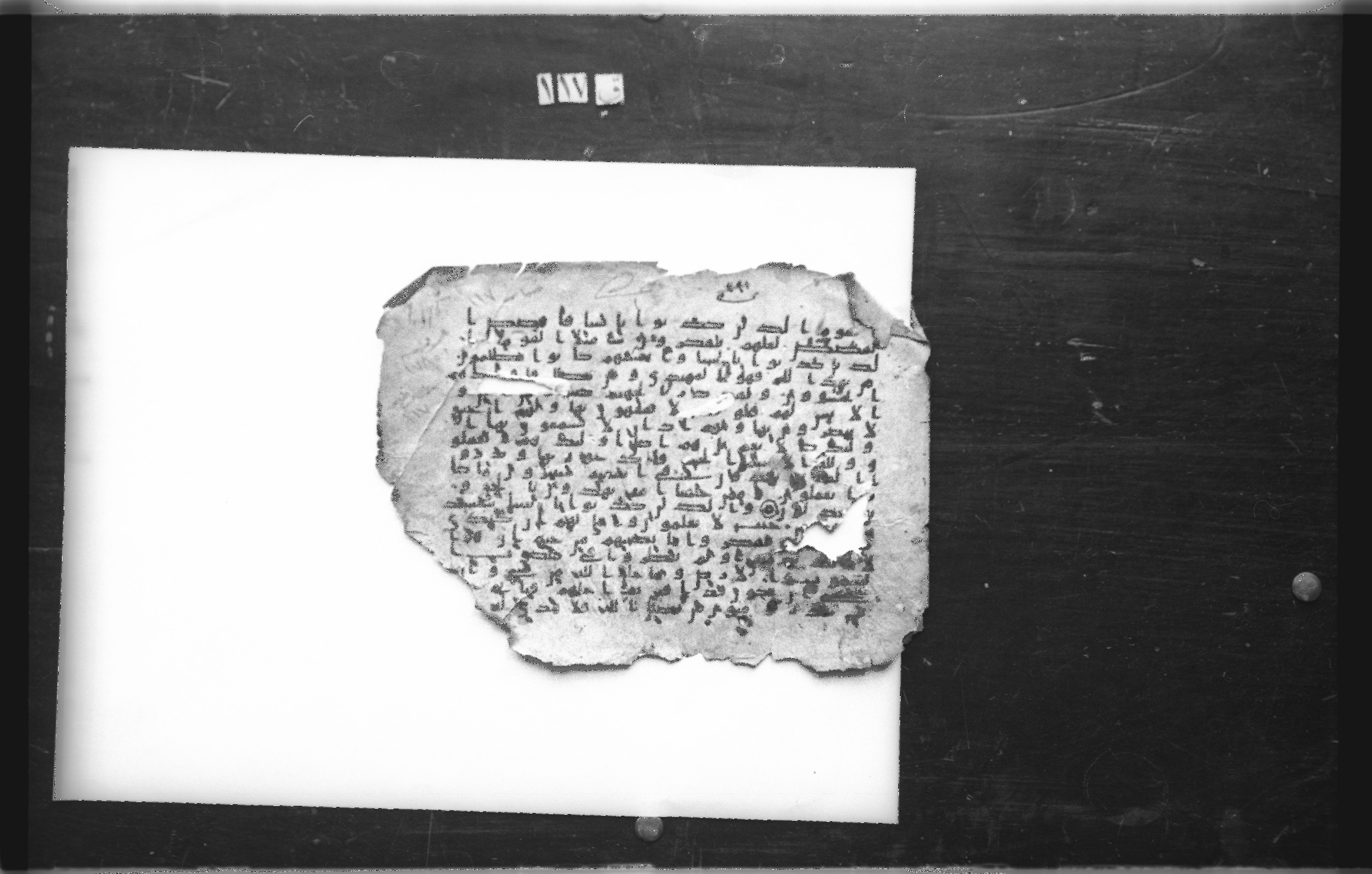 Cairo, Egyptian National Library and Archives, qāf 117 (Bergsträßer archives) (Scan 1), in Ḥiǧāzī, Kūfī (B, D), and Maġribī script, showing Surah 7:178 from Mid 7th Century to 14th Century AD found in Unknown, currently housed at Egyptian National Library and Archives (دار الكتب والوثائق القومية), Cairo