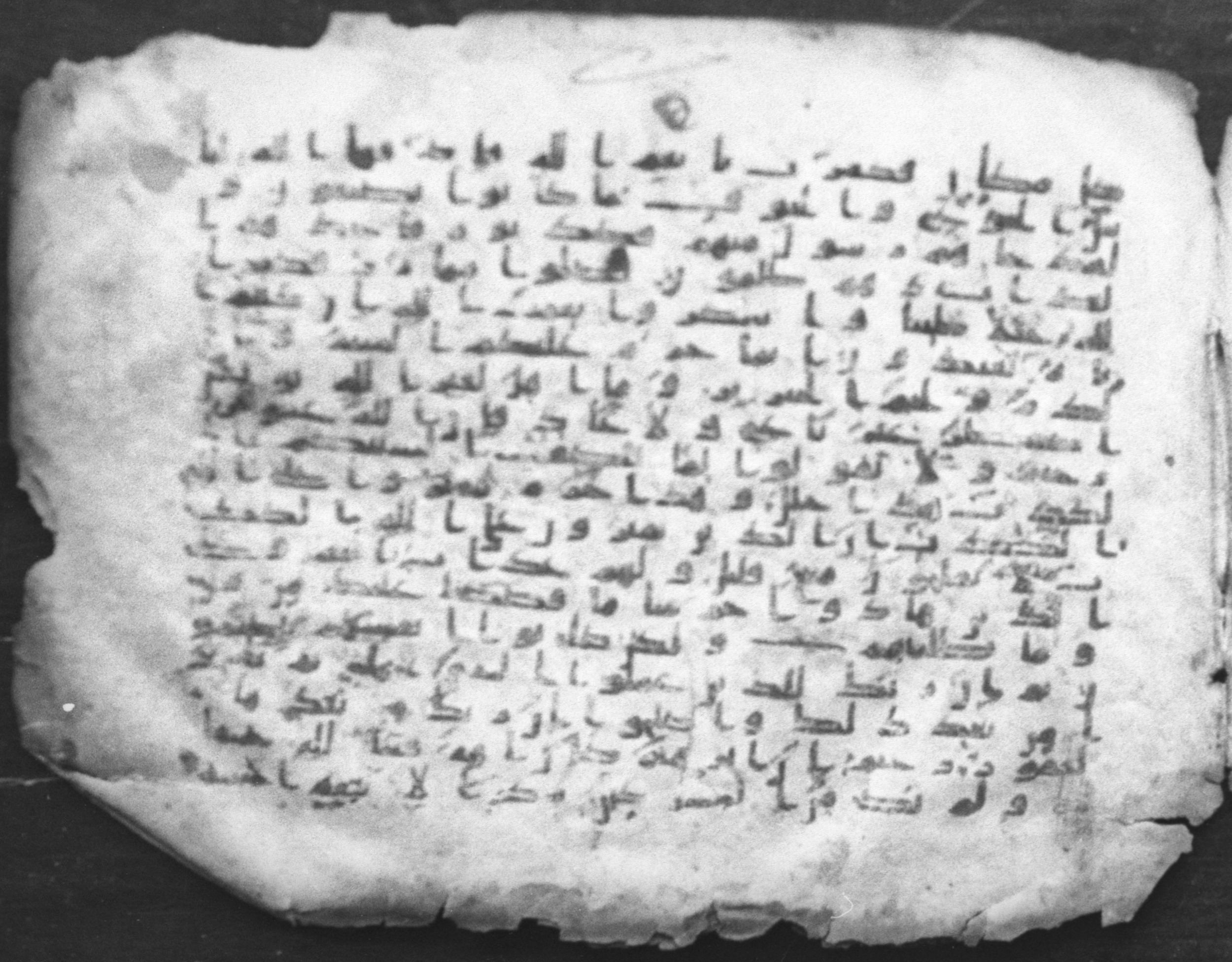 Cairo, Egyptian National Library and Archives, qāf 117 (Bergsträßer archives) (Scan 1), in Ḥiǧāzī, Kūfī (B, D), and Maġribī script, showing Surah 16:113 from Mid 7th Century to 14th Century AD found in Unknown, currently housed at Egyptian National Library and Archives (دار الكتب والوثائق القومية), Cairo