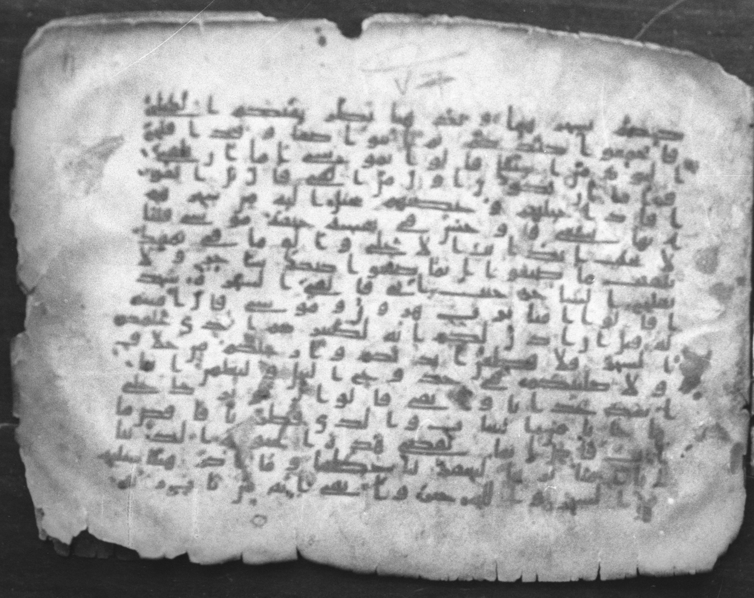 Cairo, Egyptian National Library and Archives, qāf 117 (Bergsträßer archives) (Scan 1), in Ḥiǧāzī, Kūfī (B, D), and Maġribī script, showing Surah 20:71 from Mid 7th Century to 14th Century AD found in Unknown, currently housed at Egyptian National Library and Archives (دار الكتب والوثائق القومية), Cairo