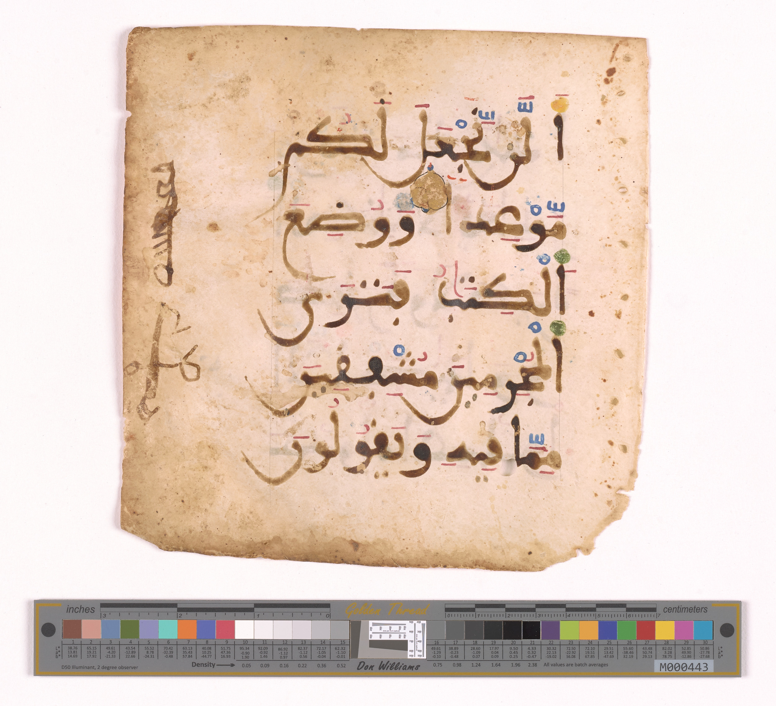 Qatar National Library, HC.MS.03094 (Scan 2), in Large Maġribī mabsūṭ script, showing Surah 18:49 from 14th Century AD found in Northwest Africa (Maghreb) or Muslim Iberia (al-Andalus), currently housed at Qatar National Library, Heritage Library, Doha