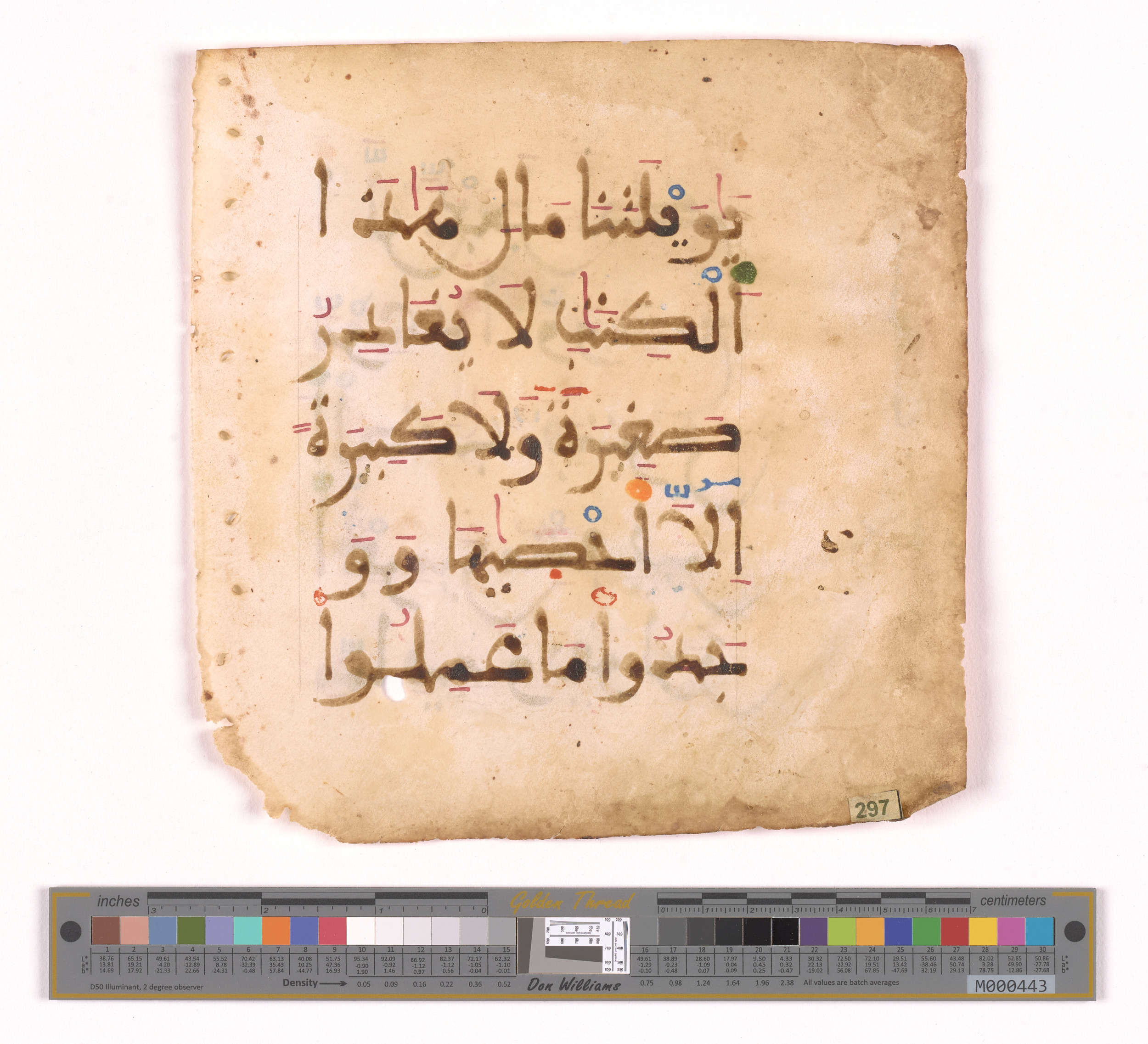 Qatar National Library, HC.MS.03094 (Scan 3), in Large Maġribī mabsūṭ script, showing Surah 18:49 from 14th Century AD found in Northwest Africa (Maghreb) or Muslim Iberia (al-Andalus), currently housed at Qatar National Library, Heritage Library, Doha