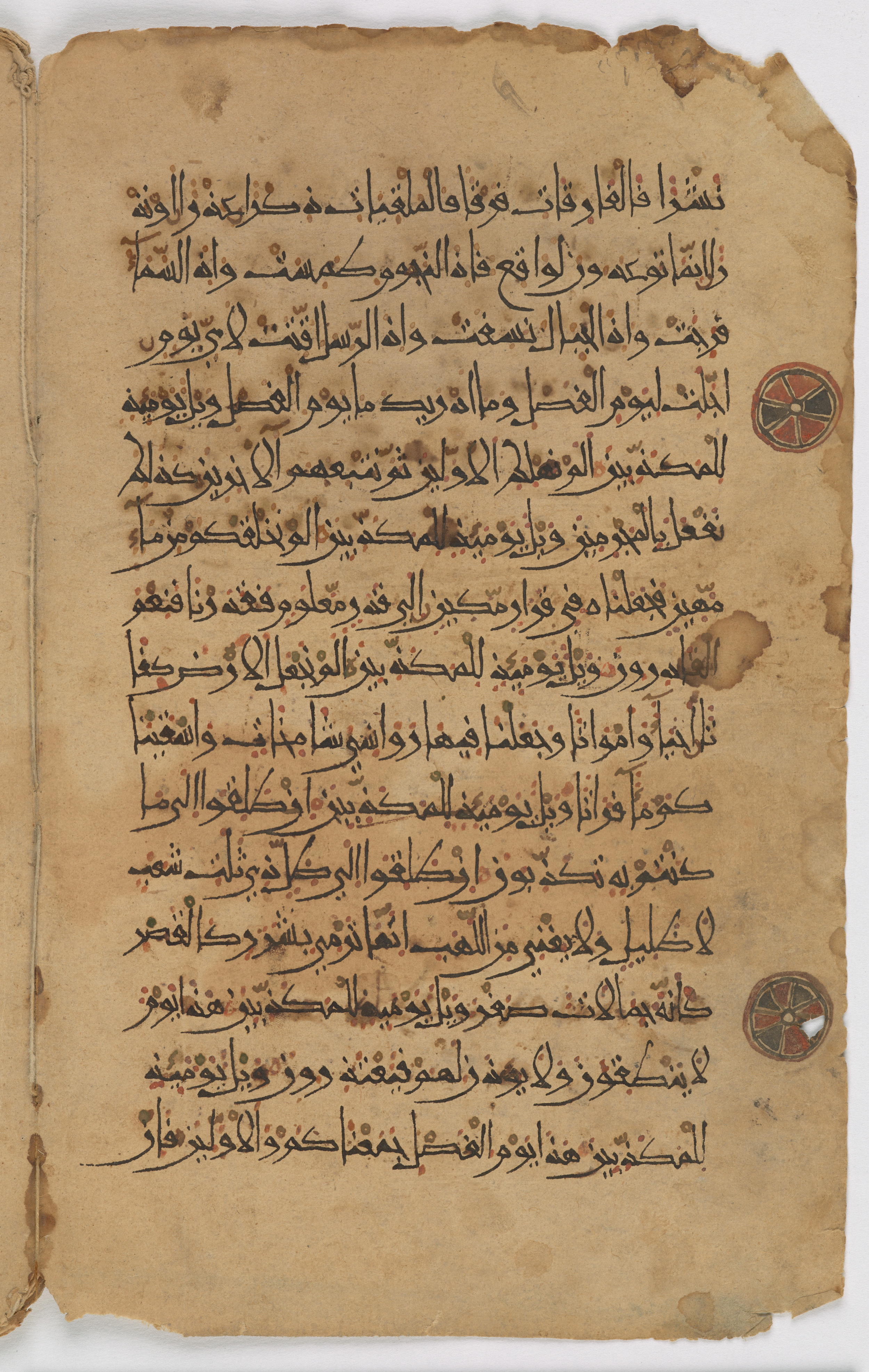 Qatar National Library, HC.MS.03155, in New Style (type I) script, showing Surah 77:21 from Late 12th Century AD found in Unknown, currently housed at Qatar National Library, Doha