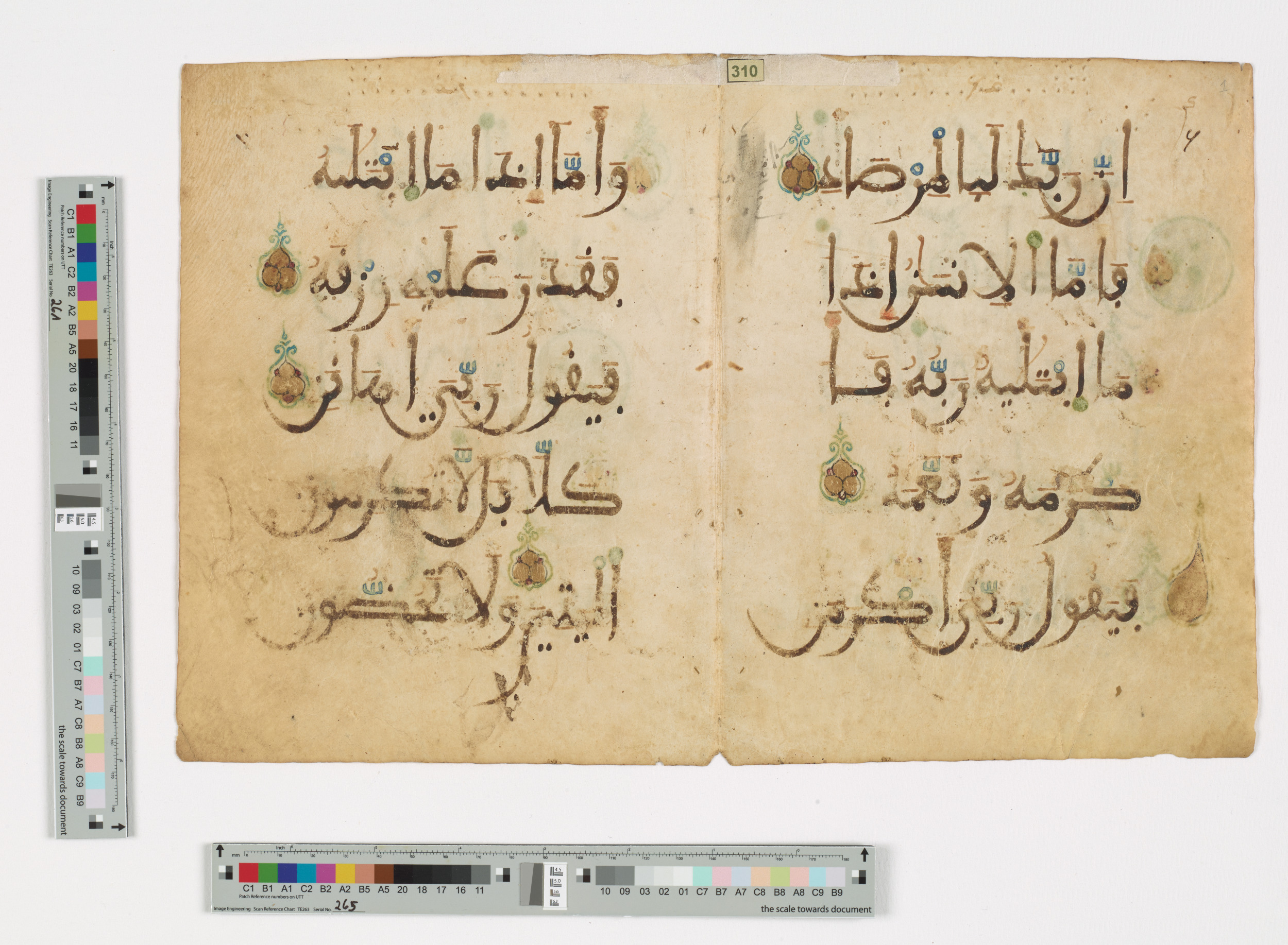 Doha, Qatar National Library, HC.MS.03173, in Large Maġribī mabsūṭ script, showing Surah 89:16 from 13th or early 14th Century AD found in North Africa (Maghreb) or Muslim Iberia (al-Andalus), currently housed at Qatar National Library, Doha