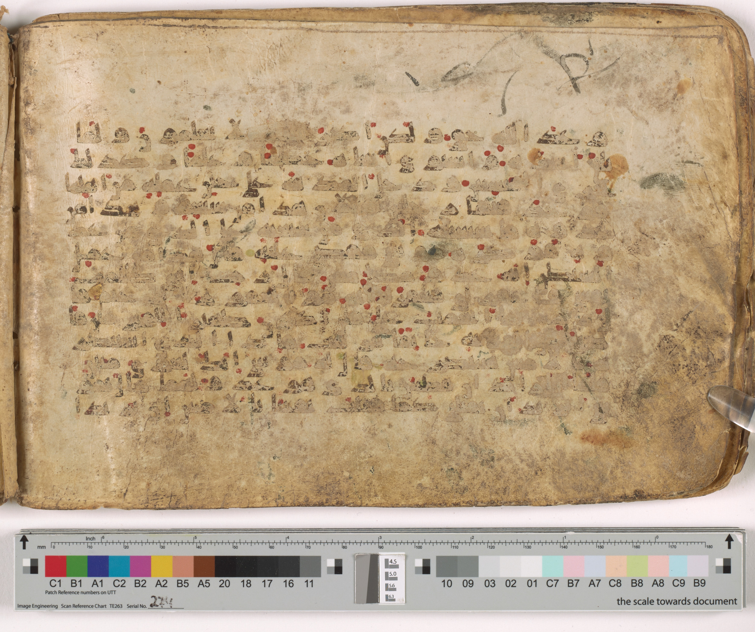 HC.MS.03159, in Kūfī E.I script, showing Surah 28:16 from Mid 9th to Late 10th Century AD found in Unknown, currently housed at Qatar National Library, Doha