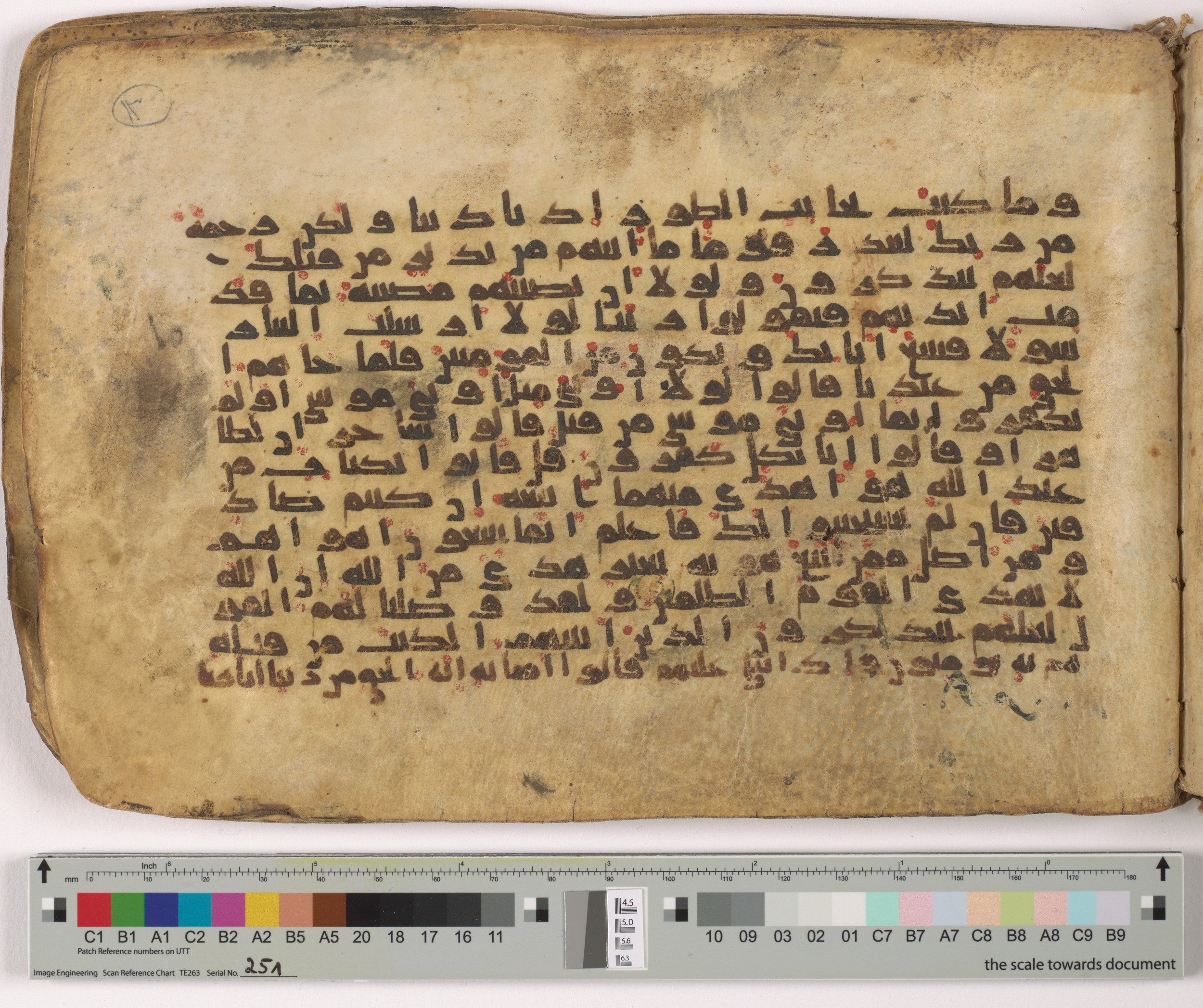 HC.MS.03159, in Kūfī E.I script, showing Surah 28:49 from Mid 9th to Late 10th Century AD found in Unknown, currently housed at Qatar National Library, Doha