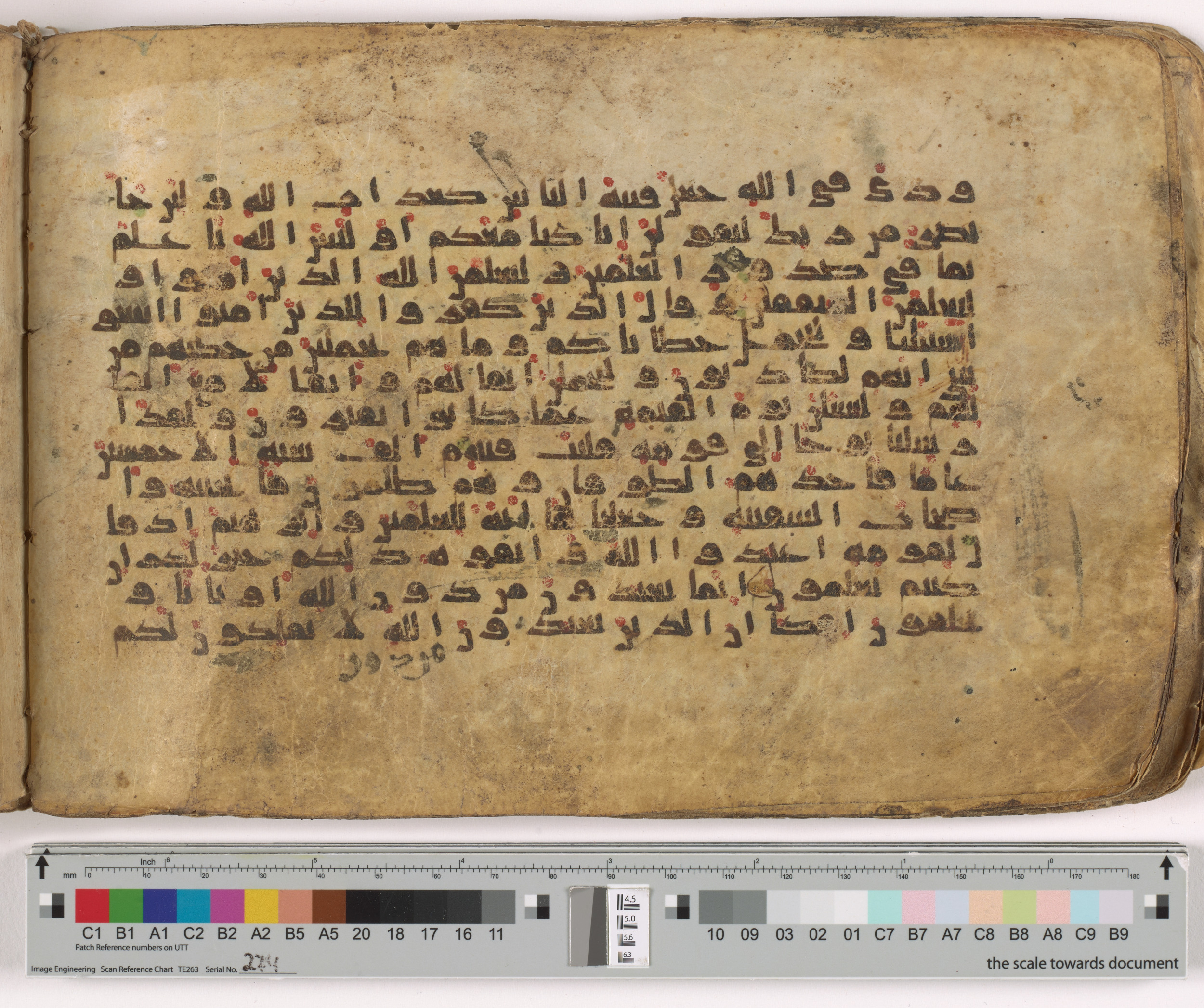 HC.MS.03159, in Kūfī E.I script, showing Surah 29:12 from Mid 9th to Late 10th Century AD found in Unknown, currently housed at Qatar National Library, Doha