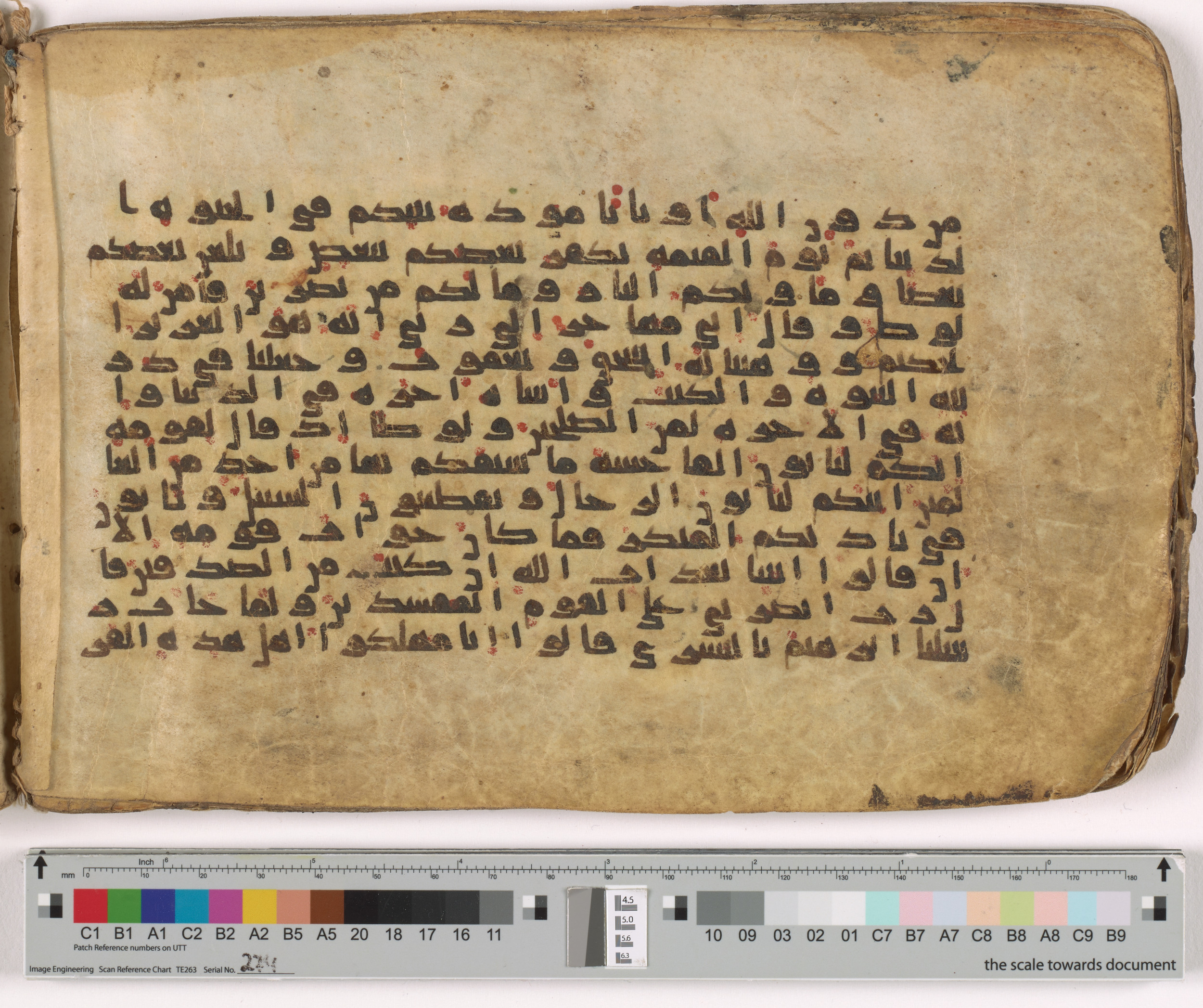 HC.MS.03159, in Kūfī E.I script, showing Surah 29:28 from Mid 9th to Late 10th Century AD found in Unknown, currently housed at Qatar National Library, Doha
