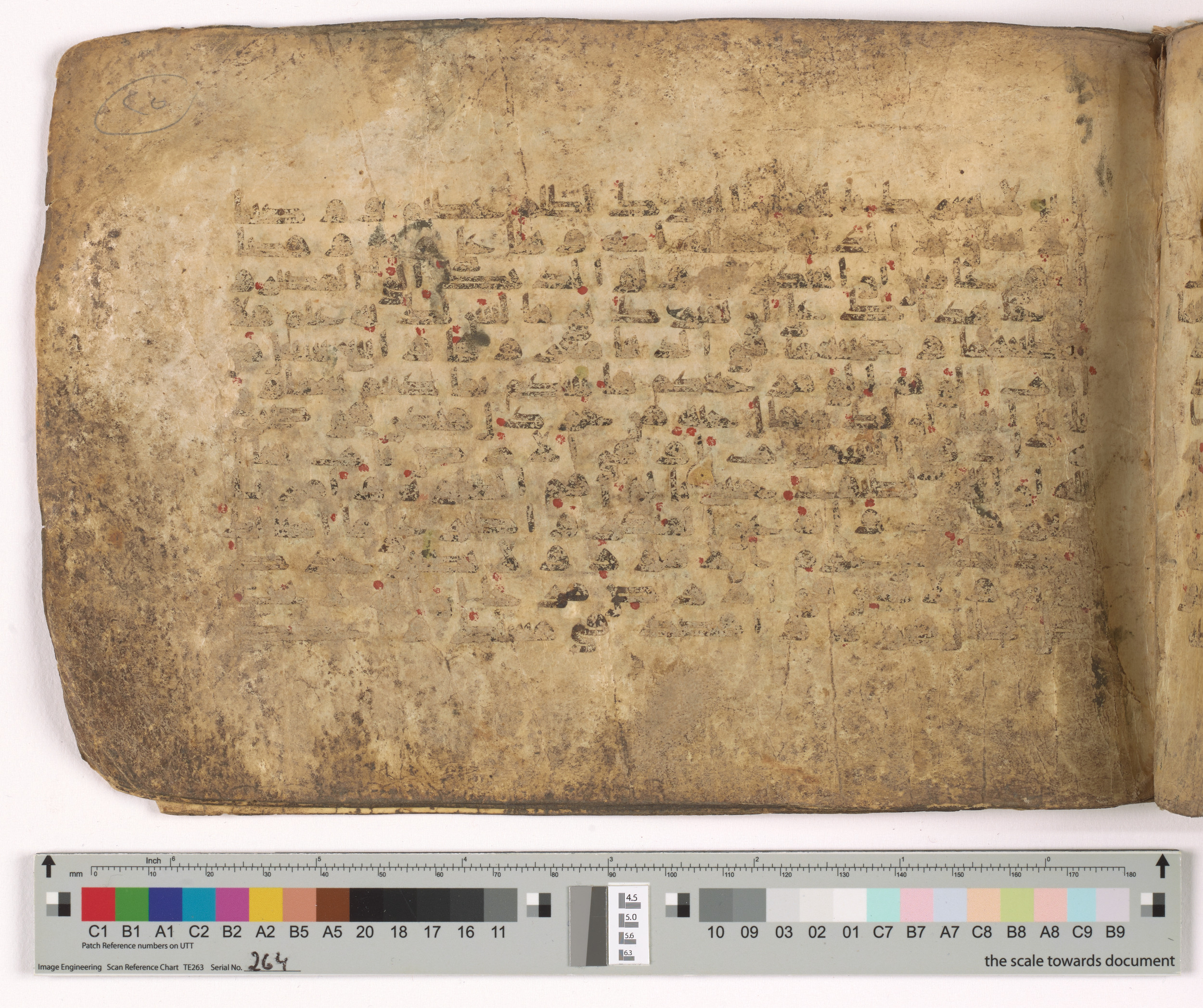 HC.MS.03159 (Scan 2), in Kūfī E.I script, showing Surah 31:13 from Mid 9th to Late 10th Century AD found in Unknown, currently housed at Qatar National Library, Doha