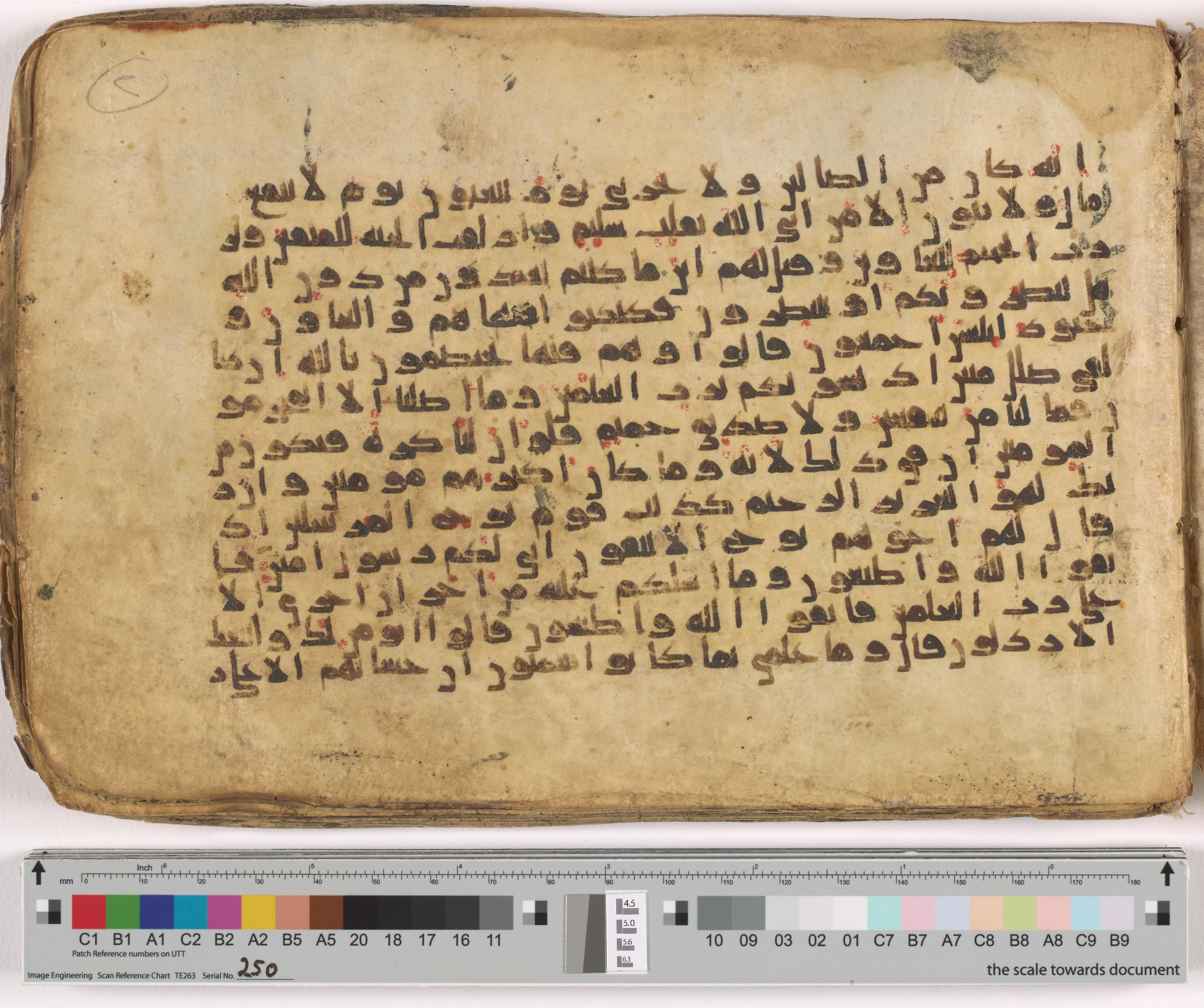 HC.MS.03159 (Scan 1), in Kūfī E.I script, showing Surah 26:113 from Mid 9th to Late 10th Century AD found in Unknown, currently housed at Qatar National Library, Doha