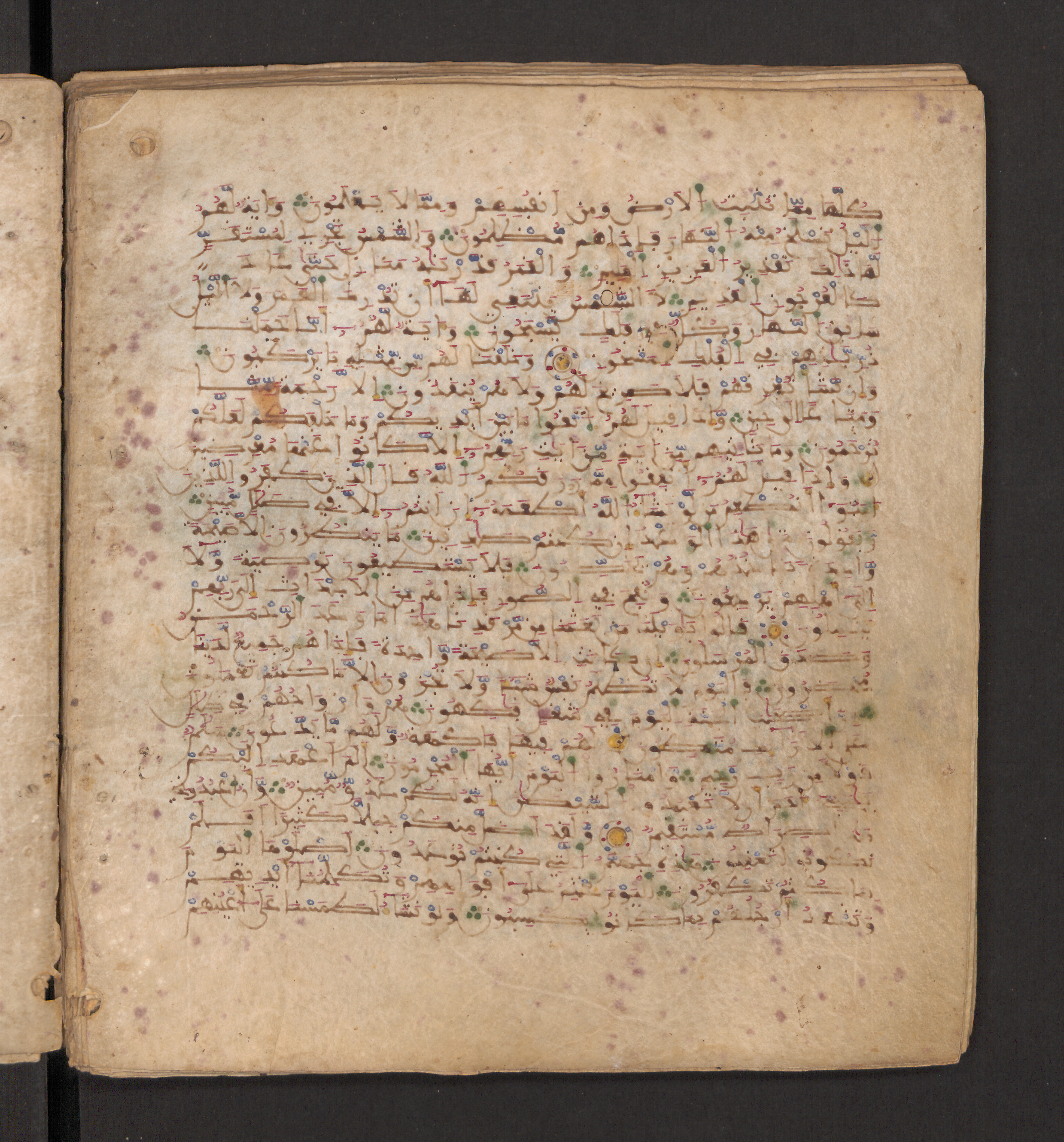 Doha, Qatar National Library, HC.MS.00715, in Maġribī micrography script, showing Surah 36:49 from 11th to 12th Century AD found in Muslim Iberia (al-Andalus), currently housed at Qatar National Library, Doha